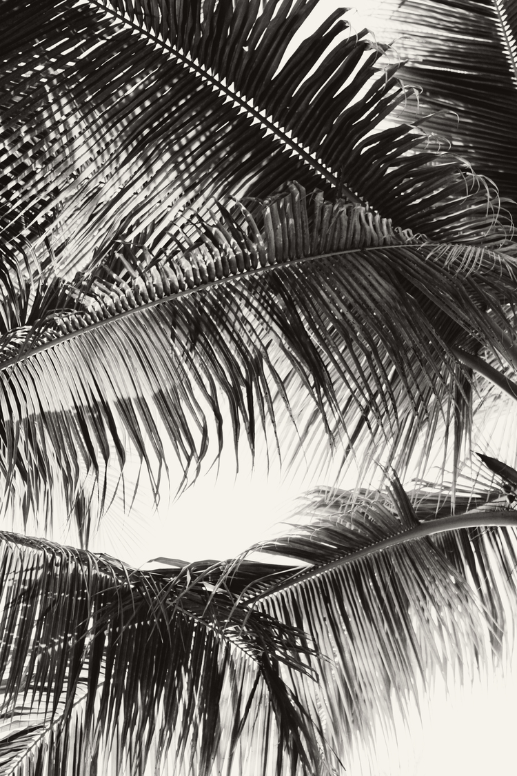 TRAVEL-DESTINATION-FLORIDAKEYS-CARIBBEAN-AMANDAJULCA-01.jpeg
