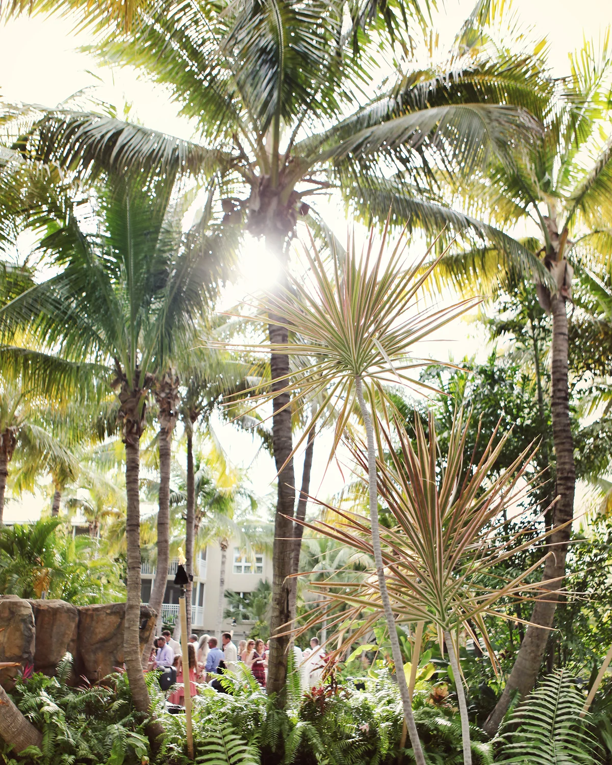 DESTINATIONWEDDING-FLORIDAKEYS-CHEECARESORT-MIAMIWEDDING-AMANDAJULCA-22.jpg