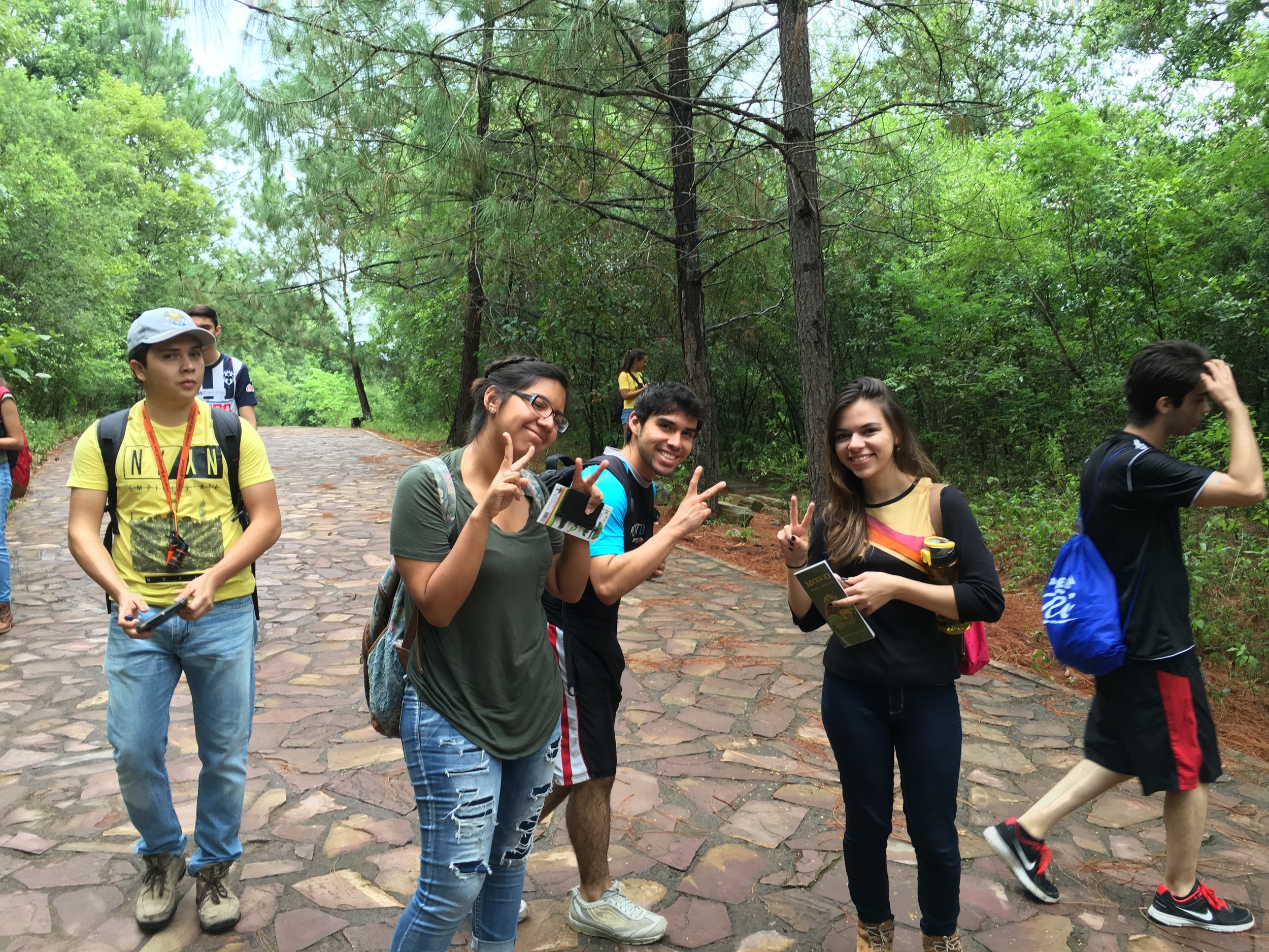 In the woods, looking for peace and plants. See what we found on iNaturalist