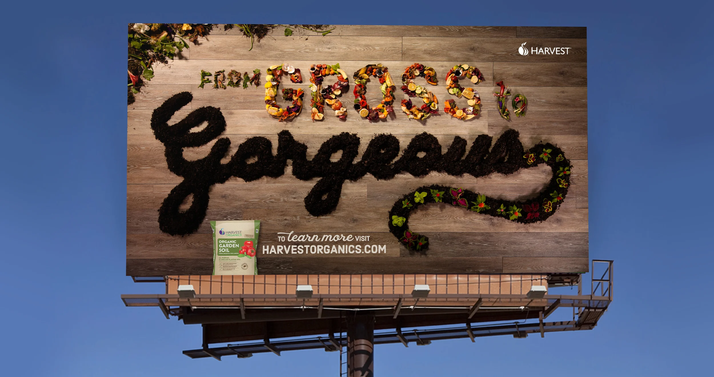 HARVEST billboard.jpg