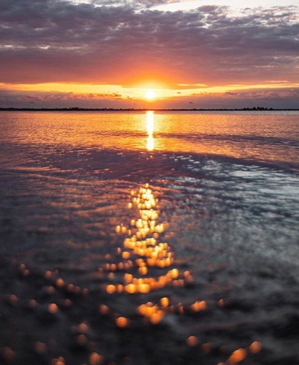 Photo by @erica_mengouchian
&bull;
&bull;
&bull;
&bull;
#representli #longisland #robertmosesbeach #sunset #lisunset #representlongisland #nystateparks #liny #babylon #bayshore #lindenhurst #westislip