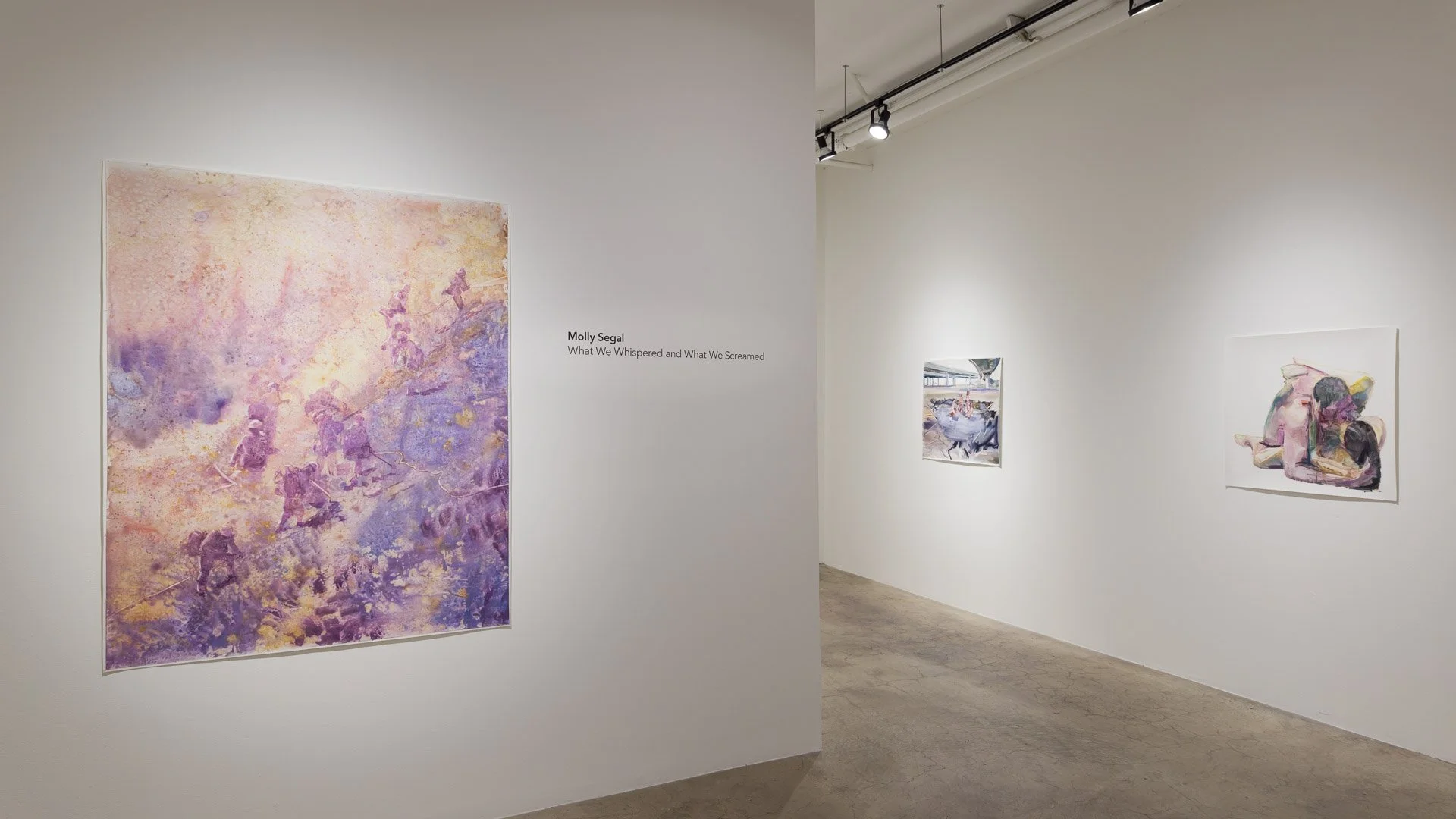 Molly Segal_2023_Installation Views_01.jpg