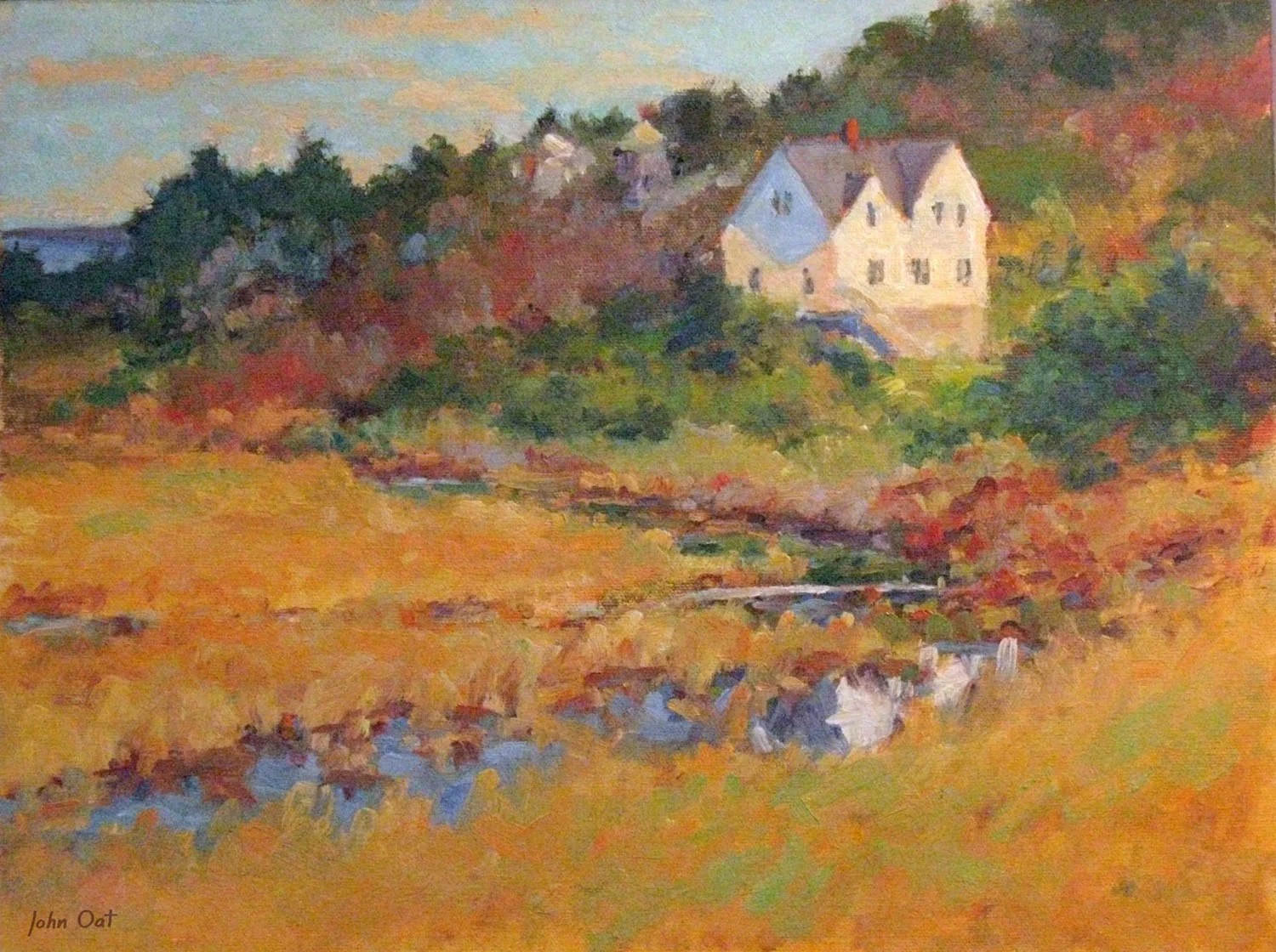 Meadow Reflections