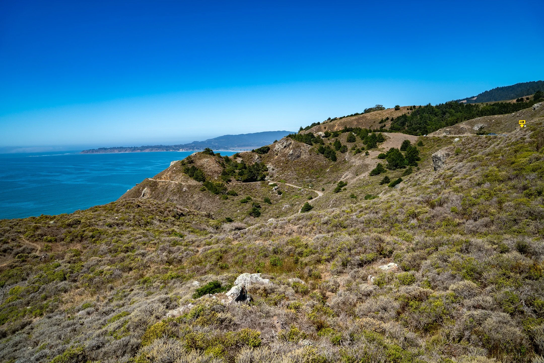 John Suhar-TheTrees-09689.jpg