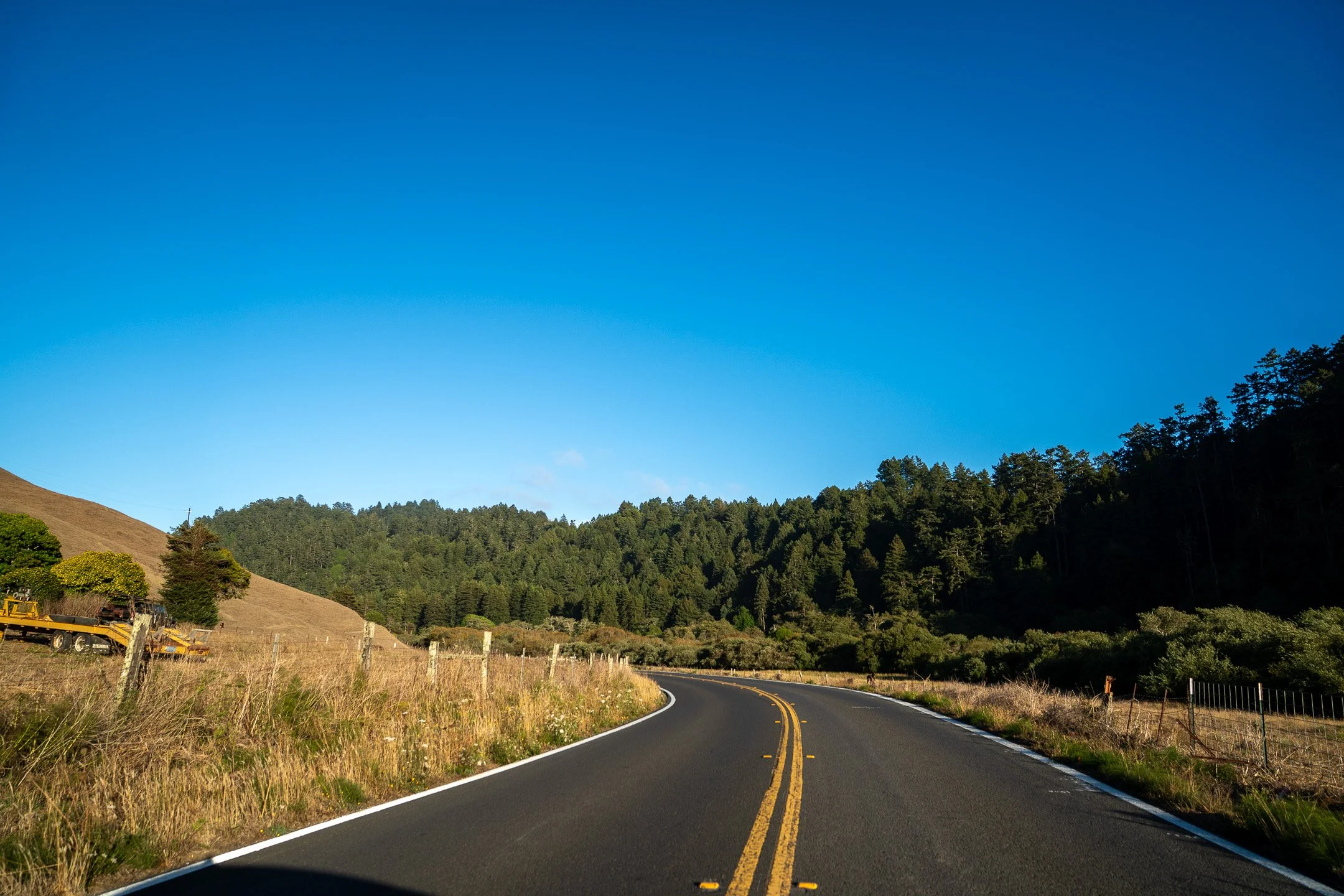 John Suhar-TheTrees-09220.jpg