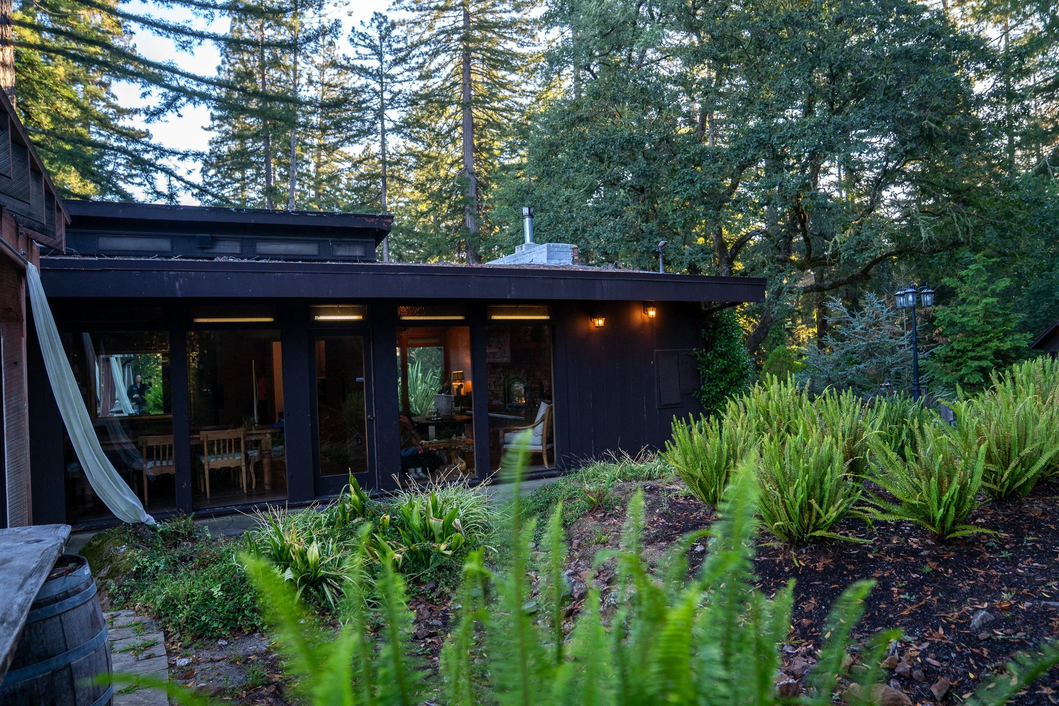 John Suhar-TheTrees-09310.jpg