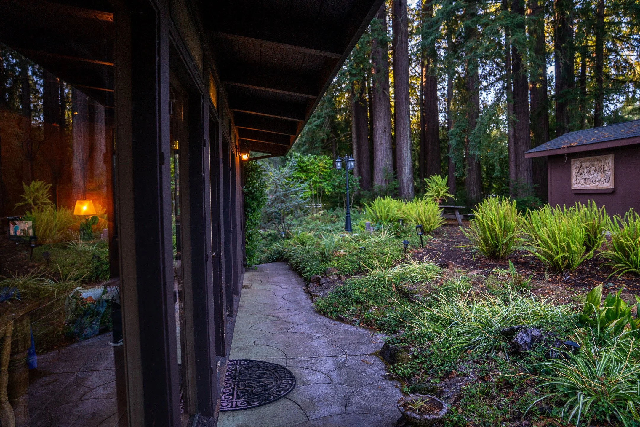 John Suhar-TheTrees-09312.jpg