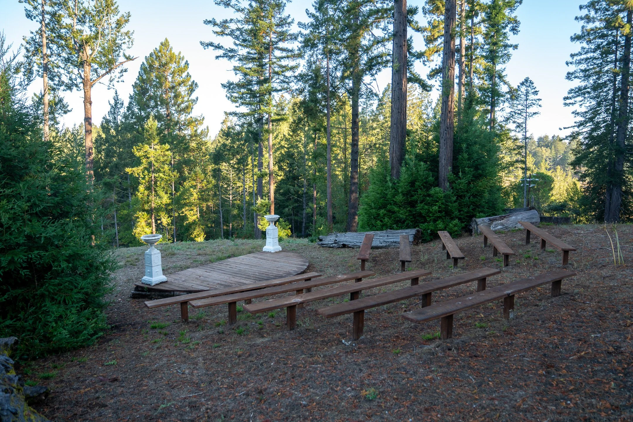 John Suhar-TheTrees-09322.jpg