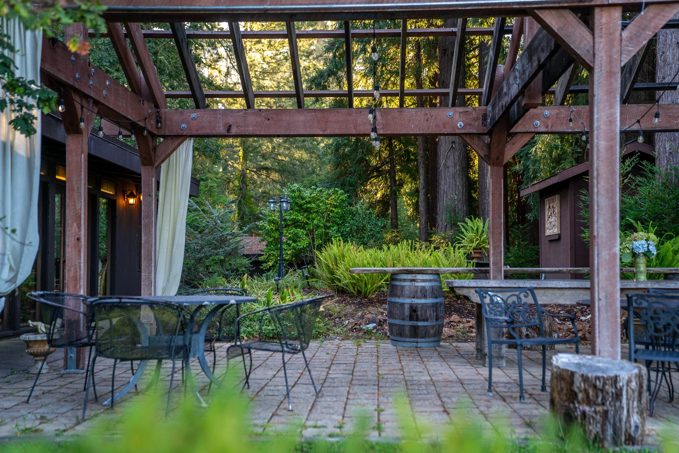 John Suhar-TheTrees-09327.jpg