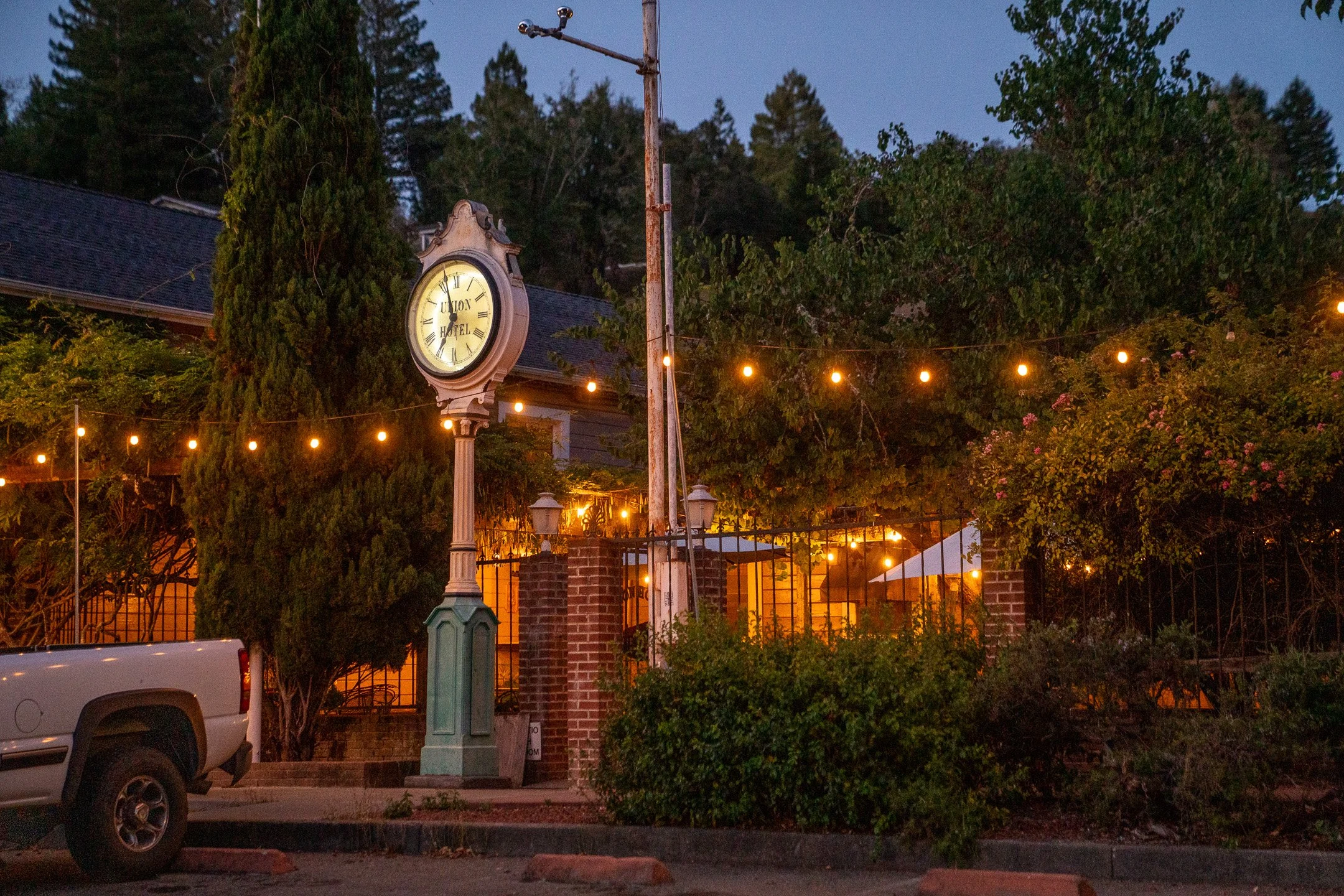 John Suhar-TheTrees-09264.jpg