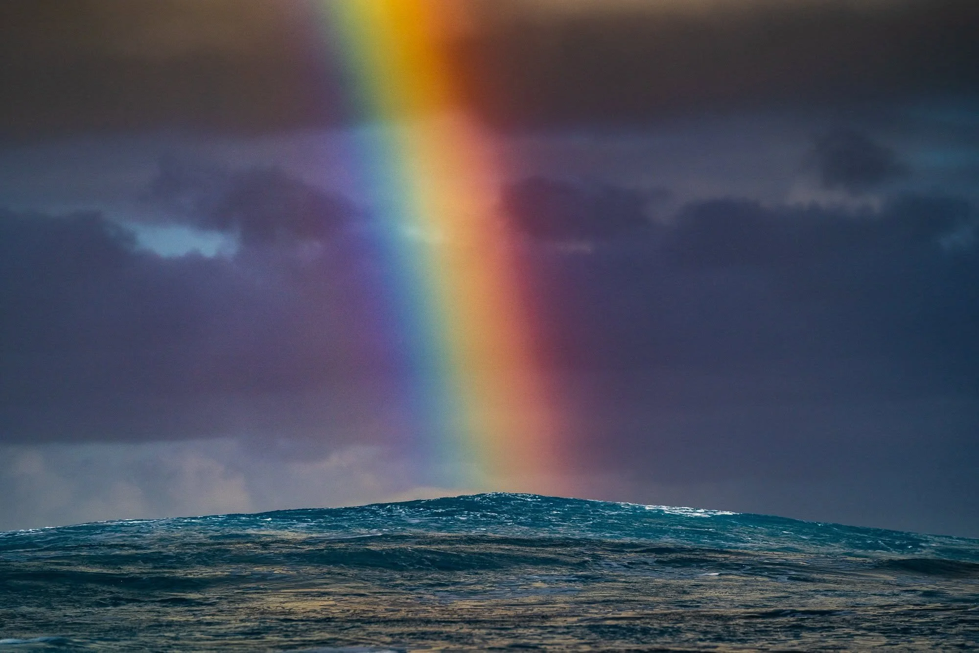 JohnSuhar-Surf23.jpg