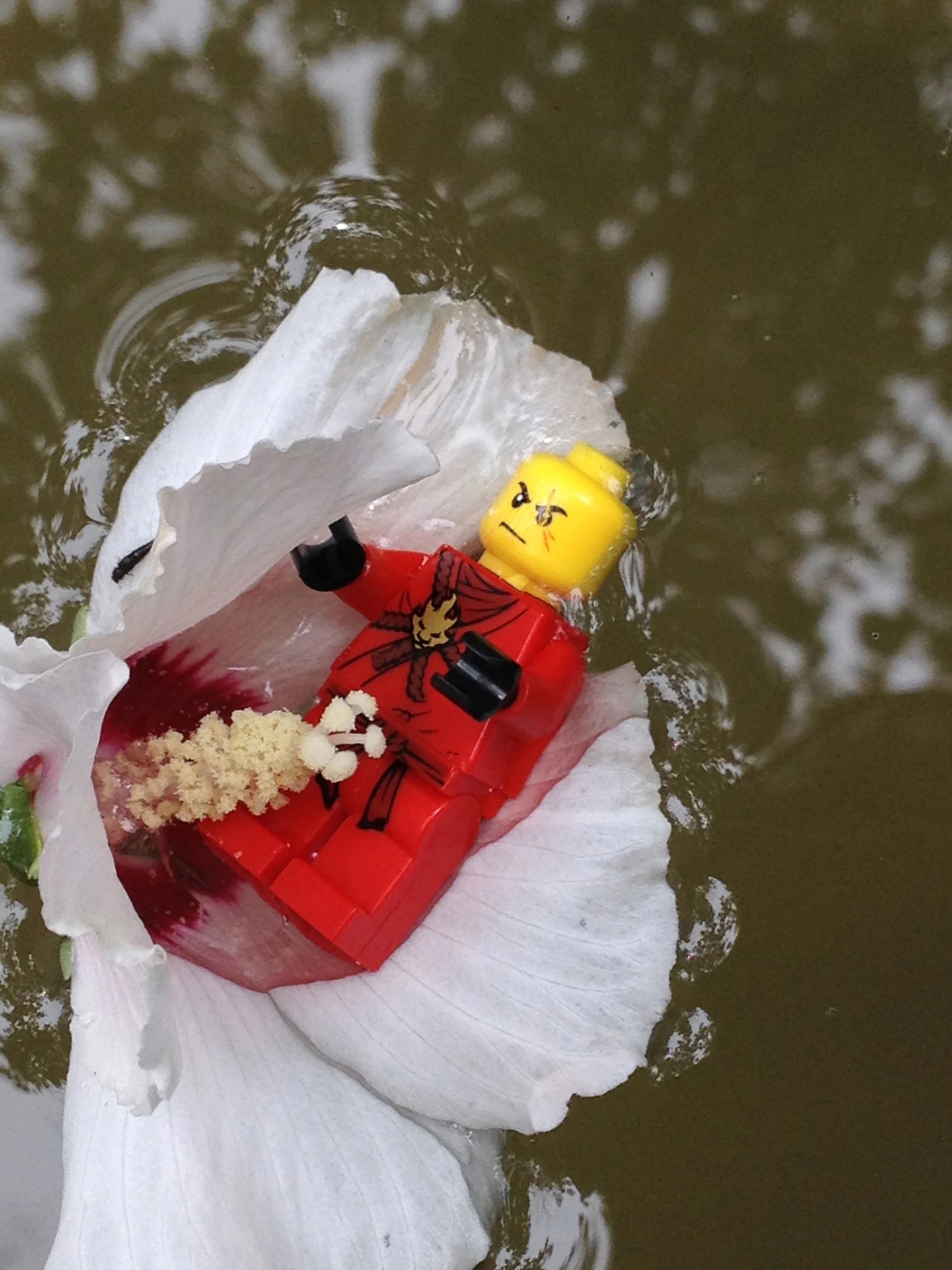 How to Get Smashed and Keep Smiling