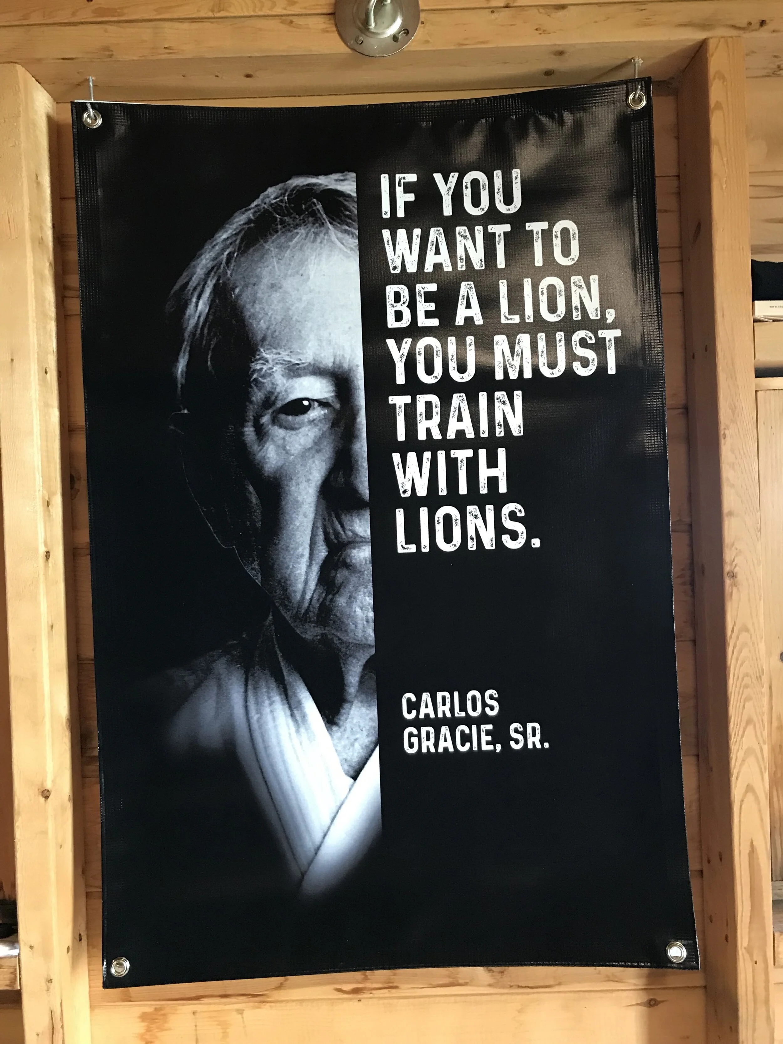 Carlos Gracie Banner 1.jpeg