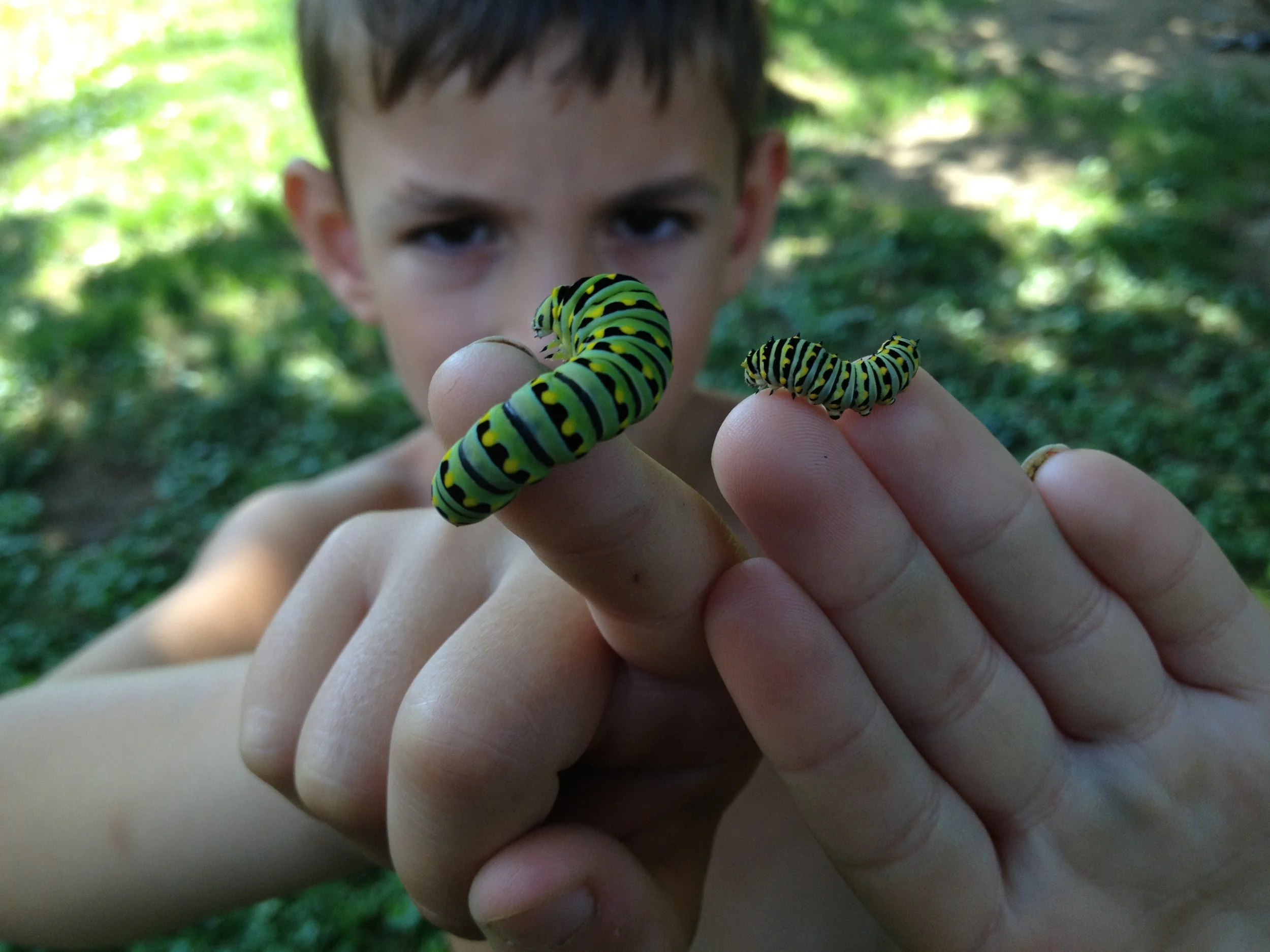 Life is Physical and Artistic