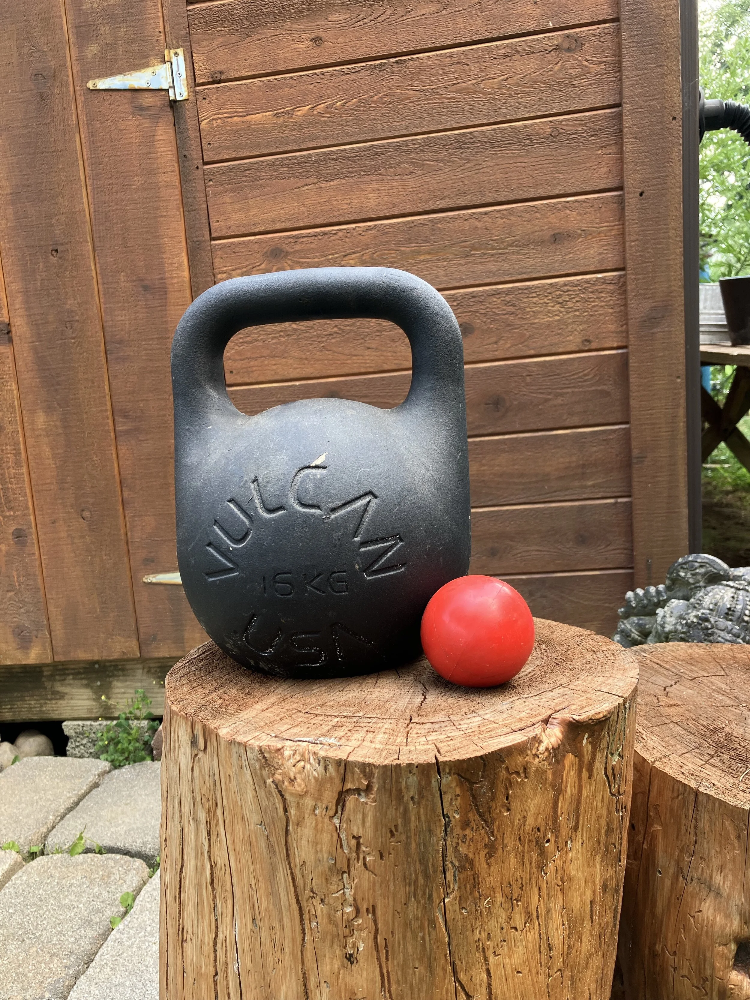 Power and Accuracy Day in The Strength Garden