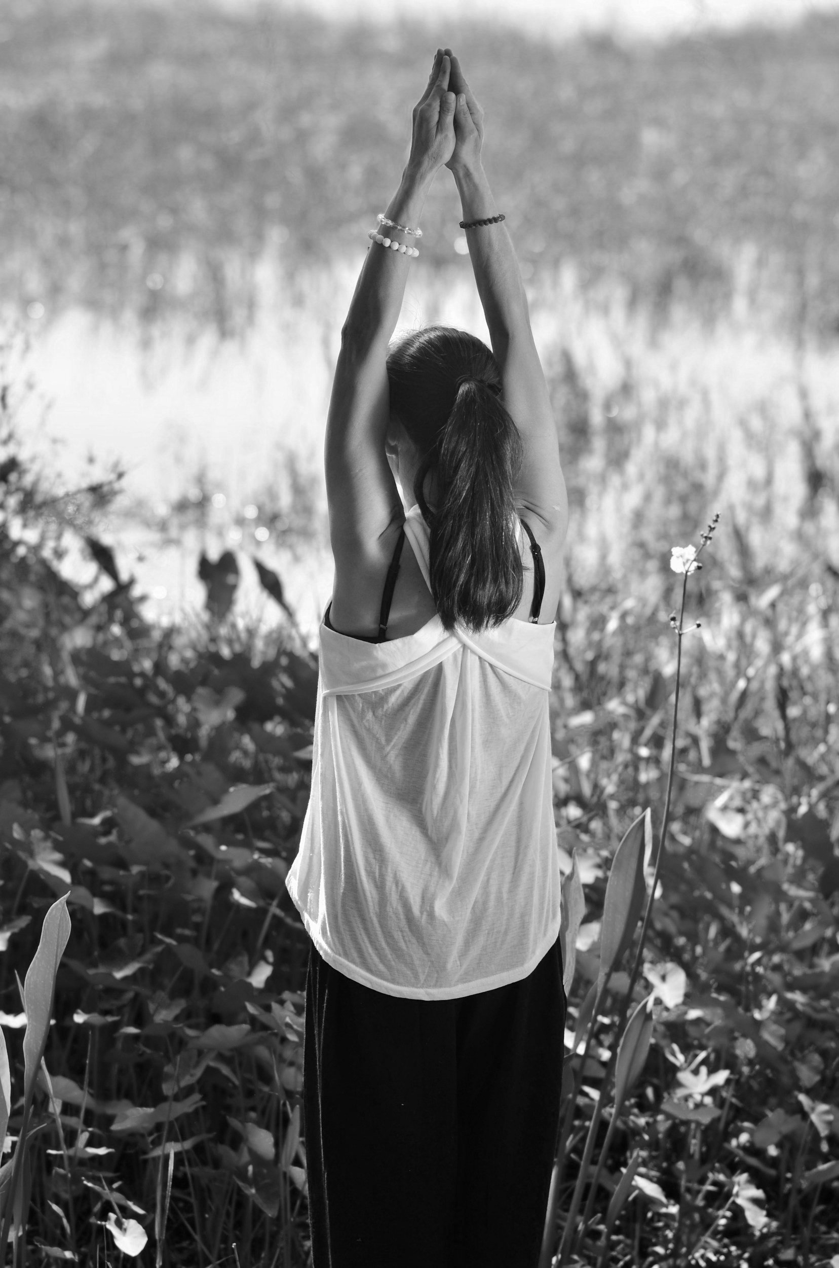 Qi Gong Creative