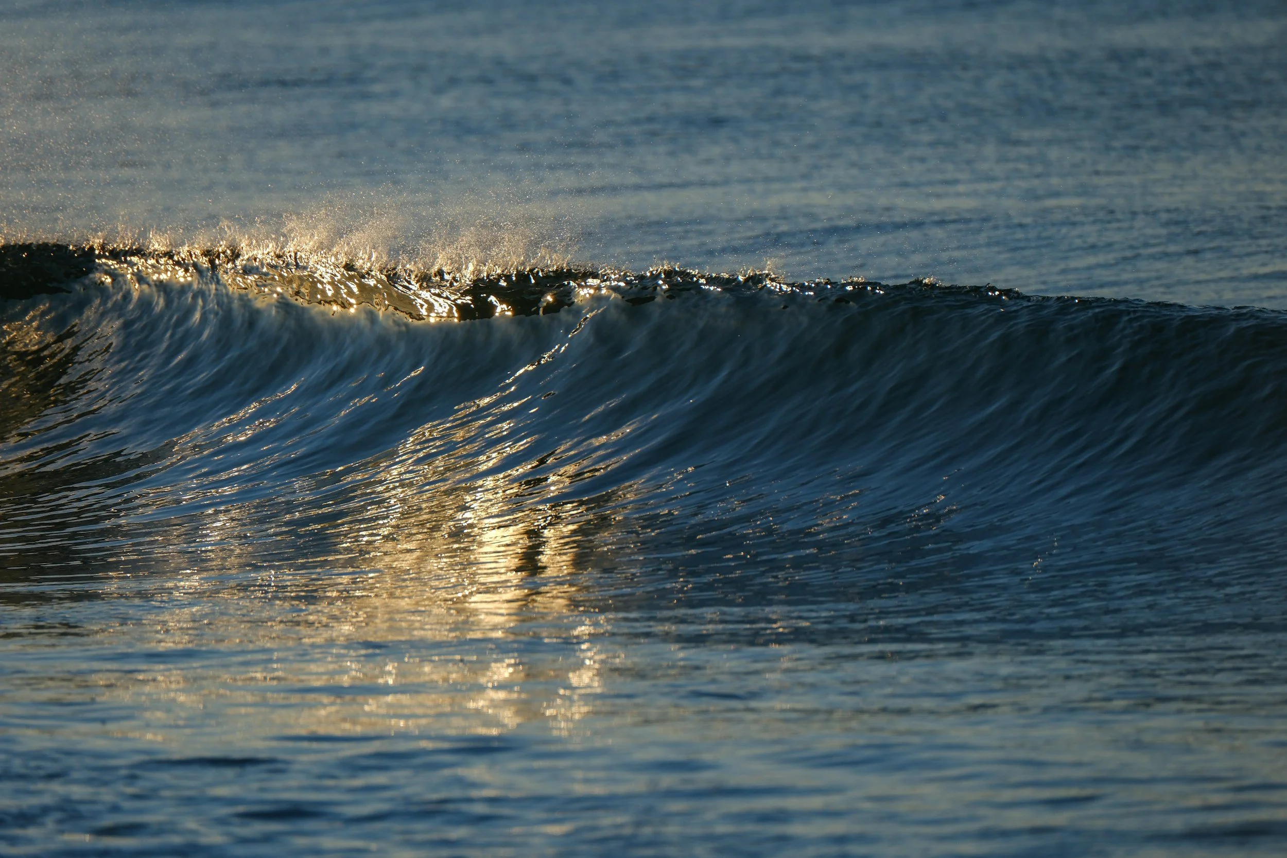 Freestyle Qi Gong and KQ