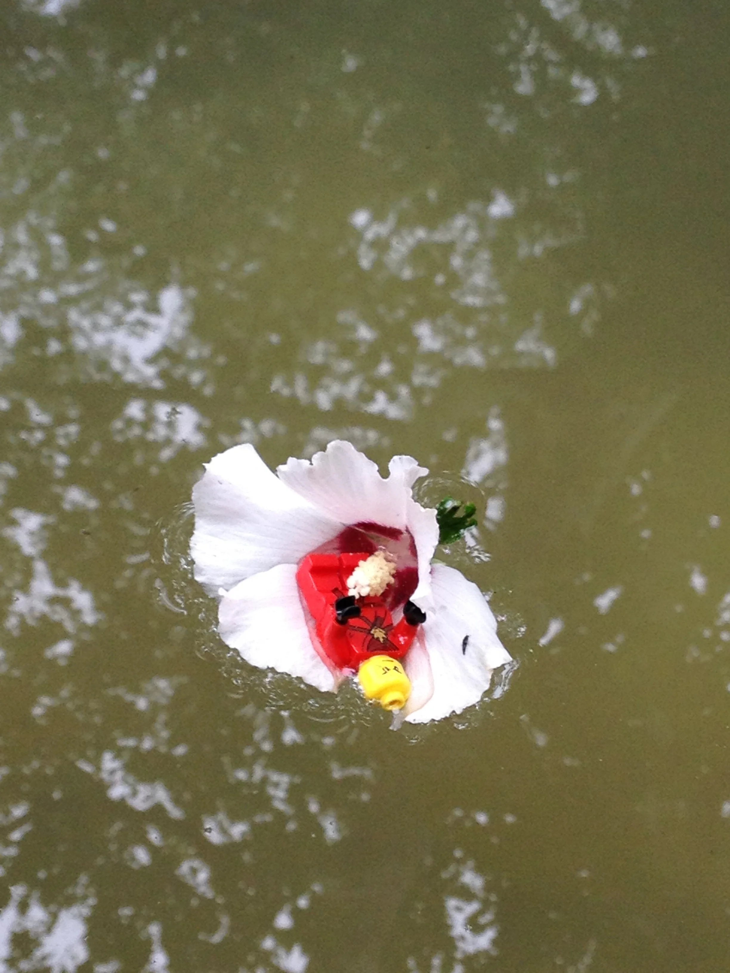 Play Tai Chi to be More Creative