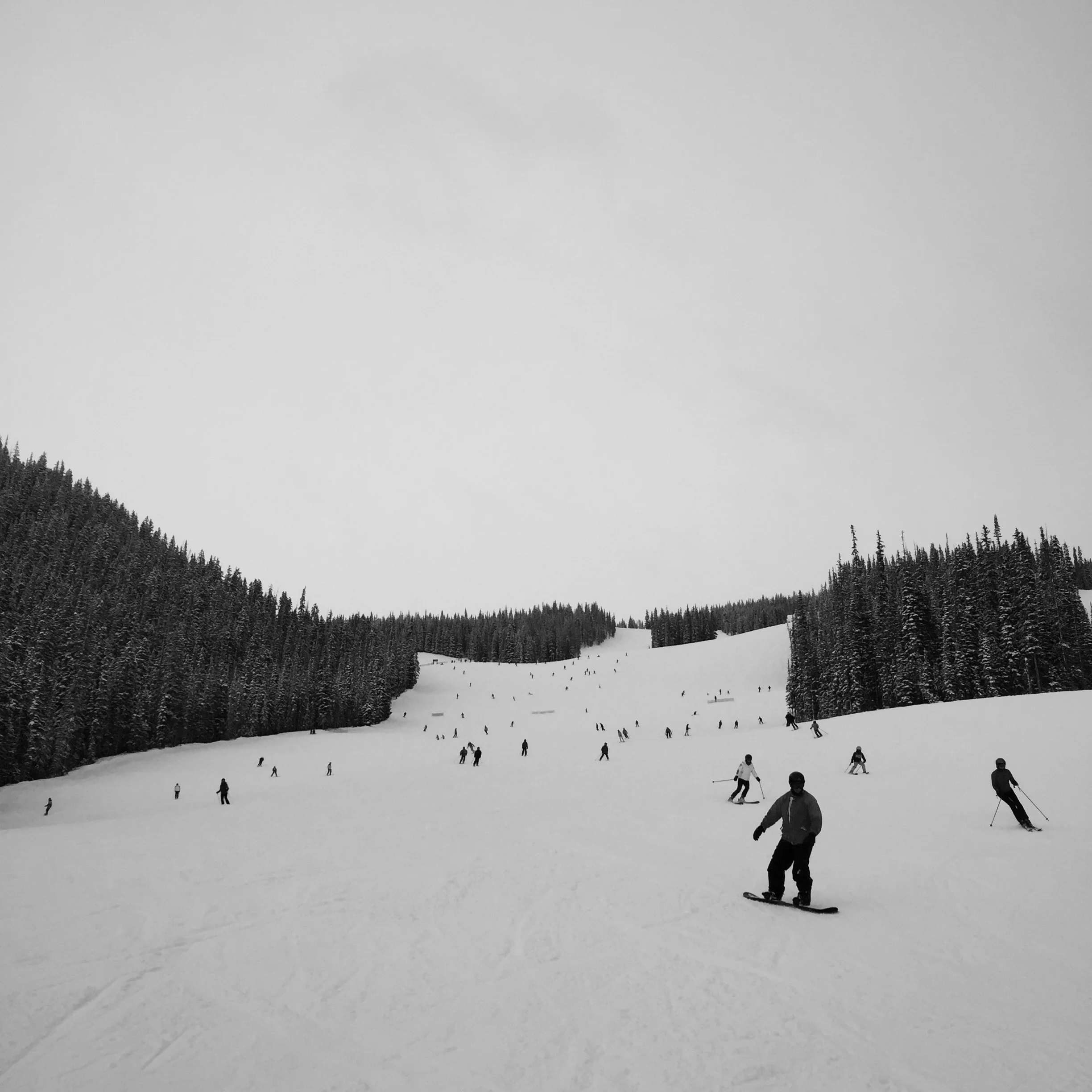 2015-02-21 14.14.17-1.jpg