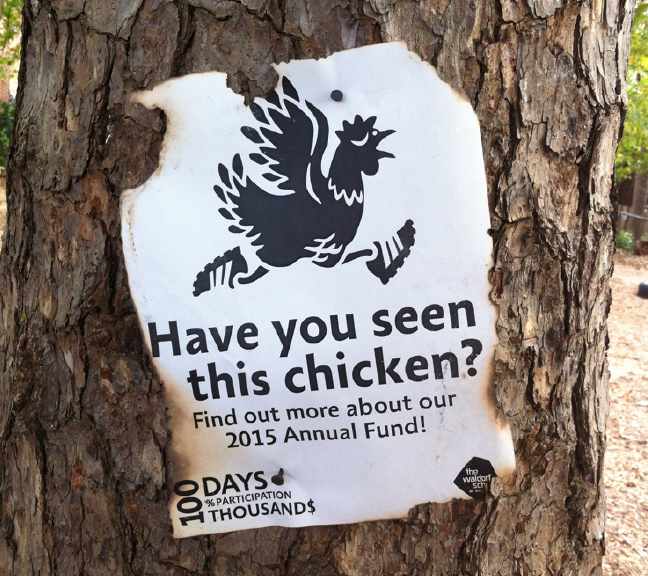 wsa-flyer-02.png