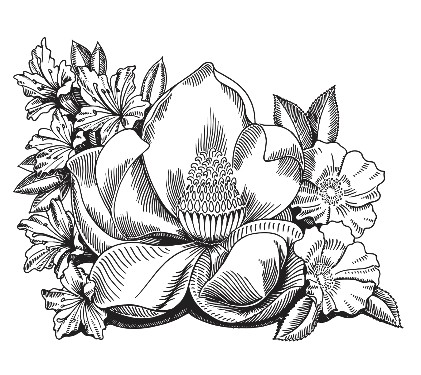Augusta_Illos_03.jpg