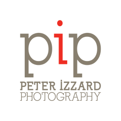 PIP Logo_100mm wide_Red485_Grey404_white background Profile G+.png