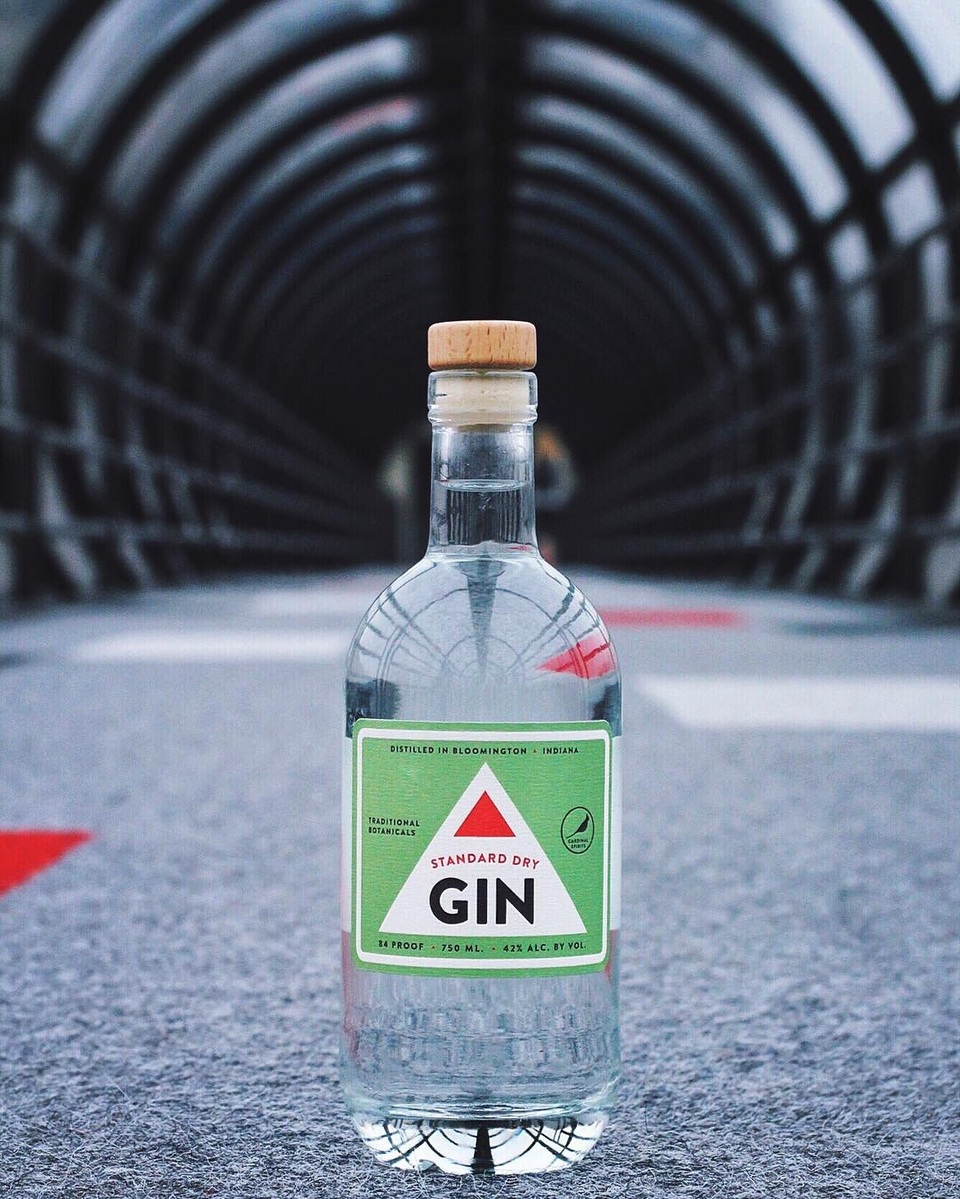 gin-tunnelvision-troycarpenter.jpg