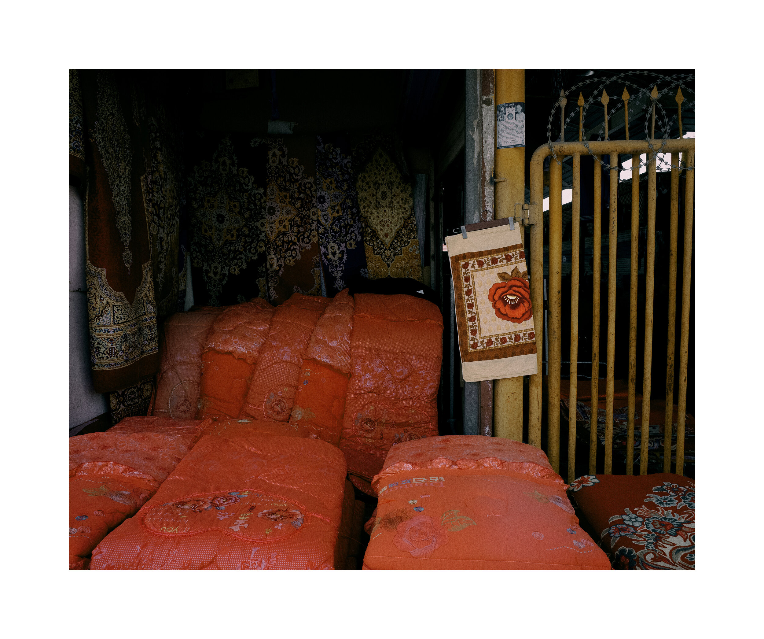 R0081599kashgar Market Rose Carpet_dbr.jpg