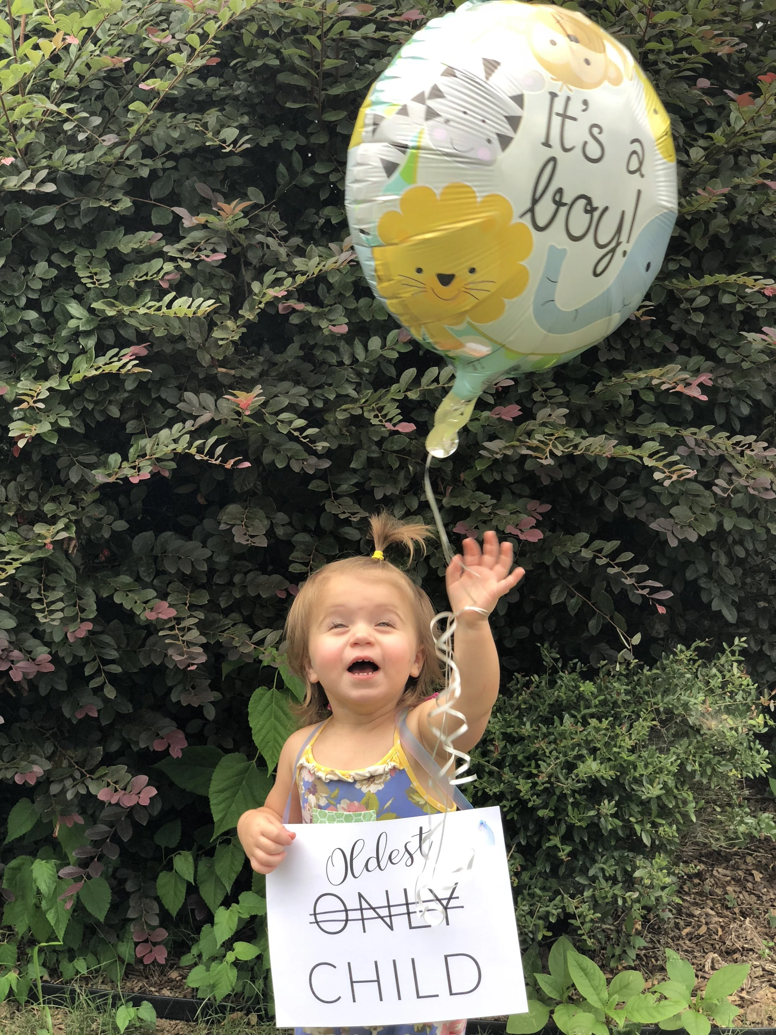 2018-08-07 17.56.01.jpg