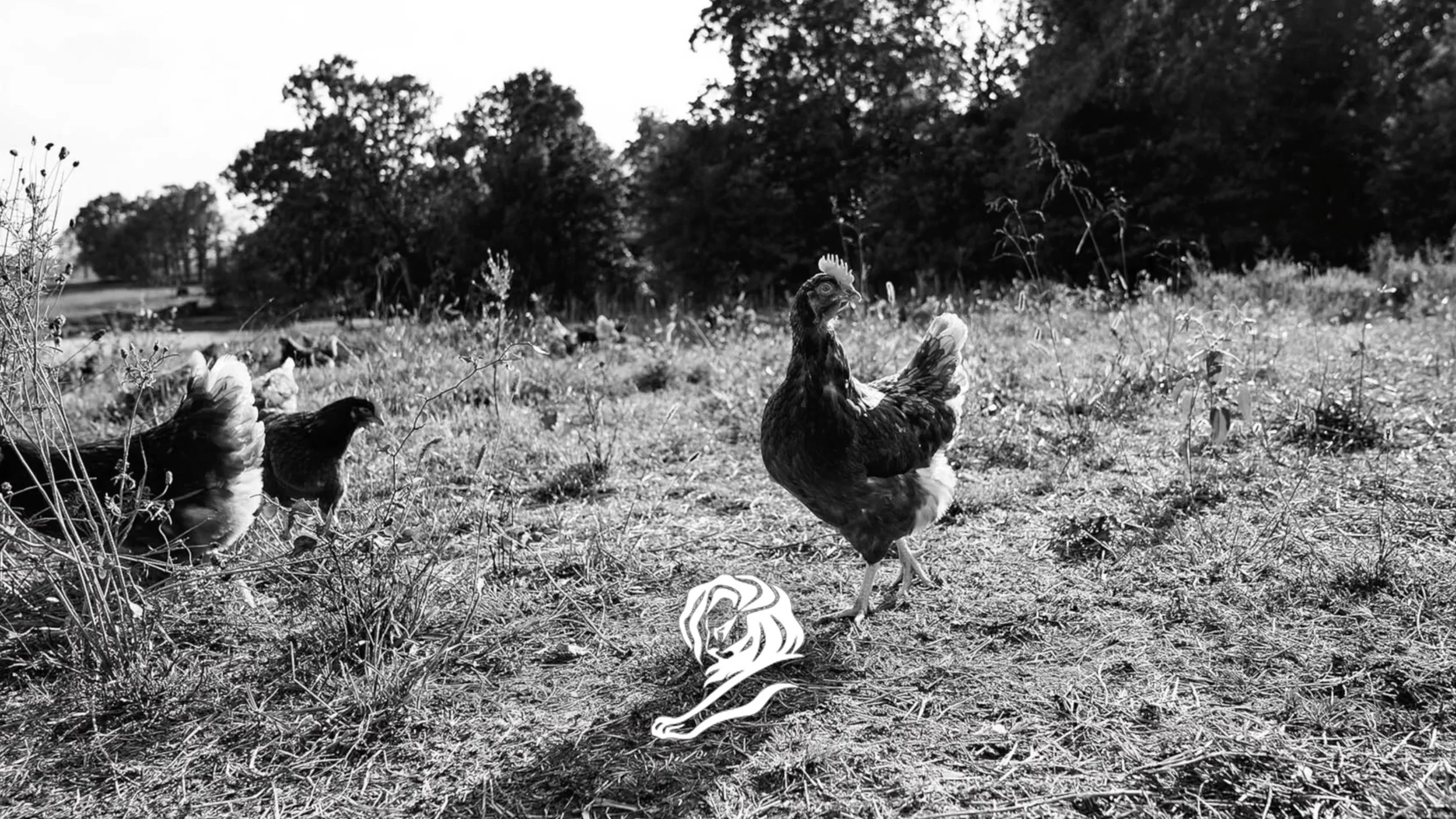  Cannes | Silver: Craft, Photography Cannes | Shortlist: Film, Break Through On A Budget One Show | Merit: Branded Entertainment, Craft, Use Of Technology Art Director’s Club | Shortlist: Integrated, Digital Communication Arts | Advertising Annual 20