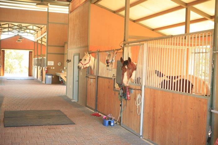 Horses in the Stable at the Equestrian Center at Trails of Horseshoe Bay