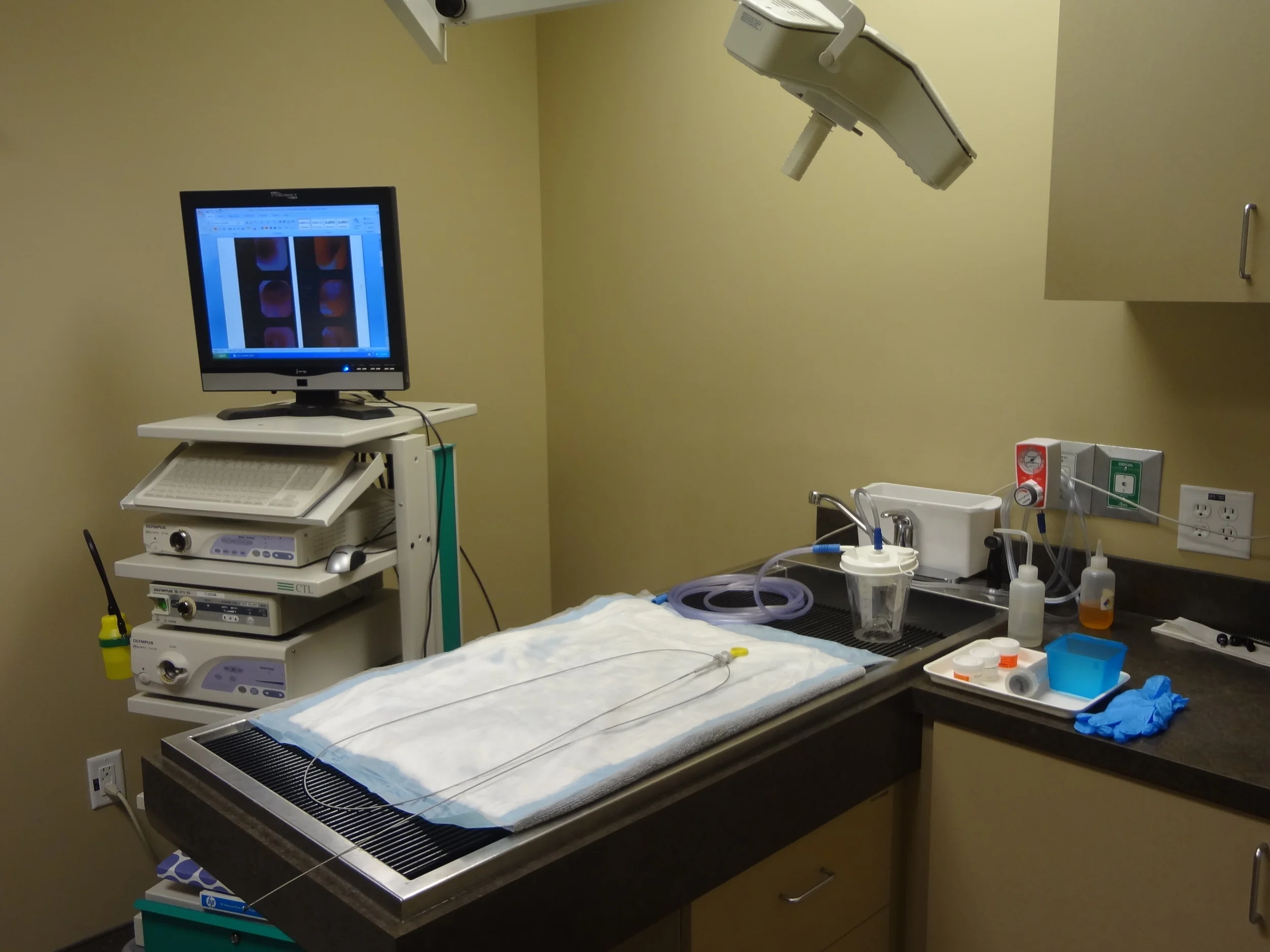 Hospital Tour and Photo Gallery — Triangle Veterinary Referral Hospital