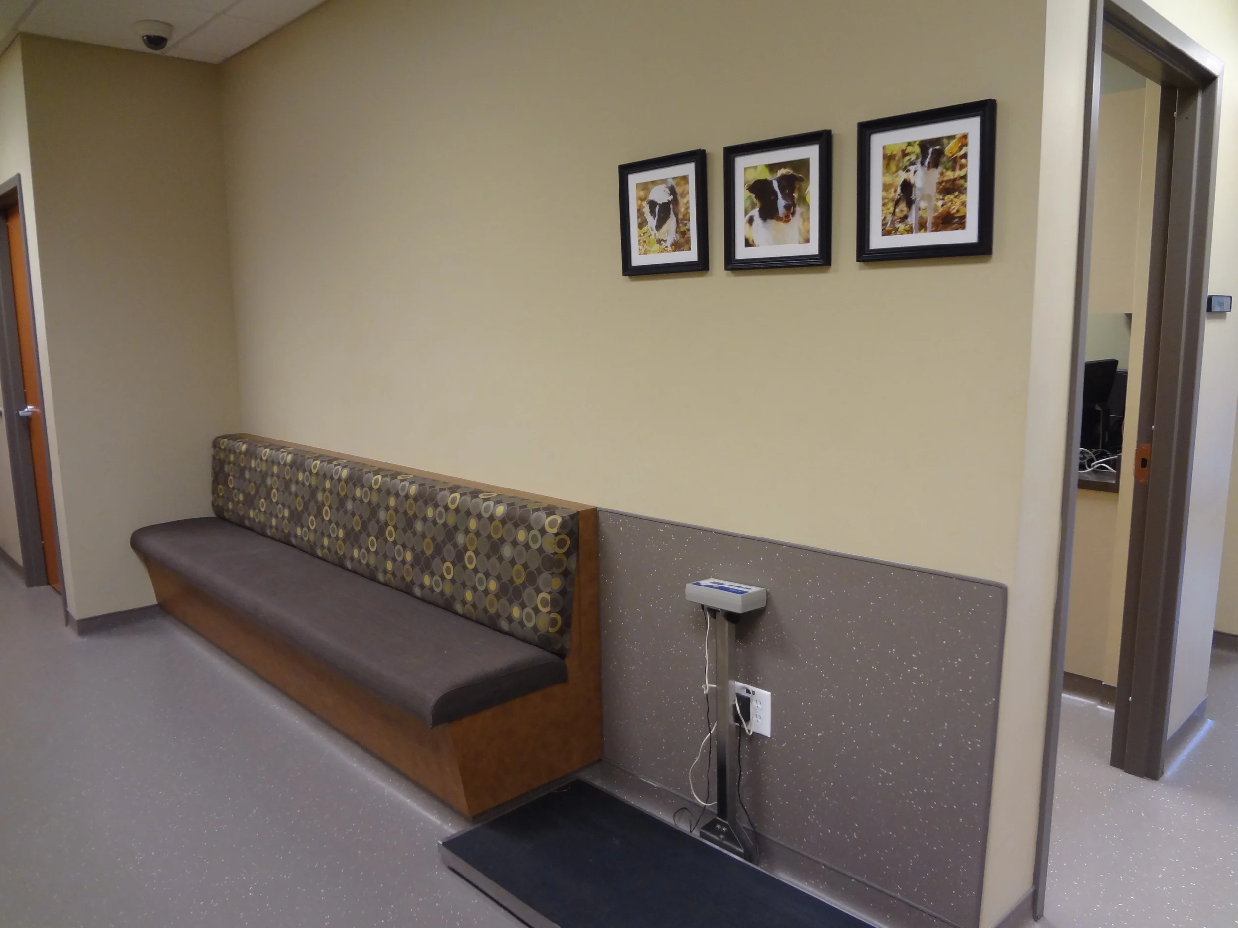 Hospital Tour and Photo Gallery — Triangle Veterinary Referral Hospital