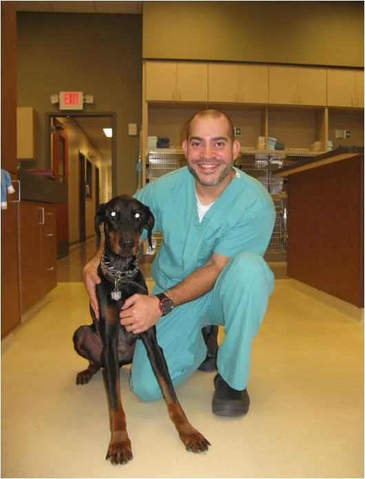 Oscar is looking great 2 ½ weeks after his surgery. I was ecstatic to see him recover so well after surgery.