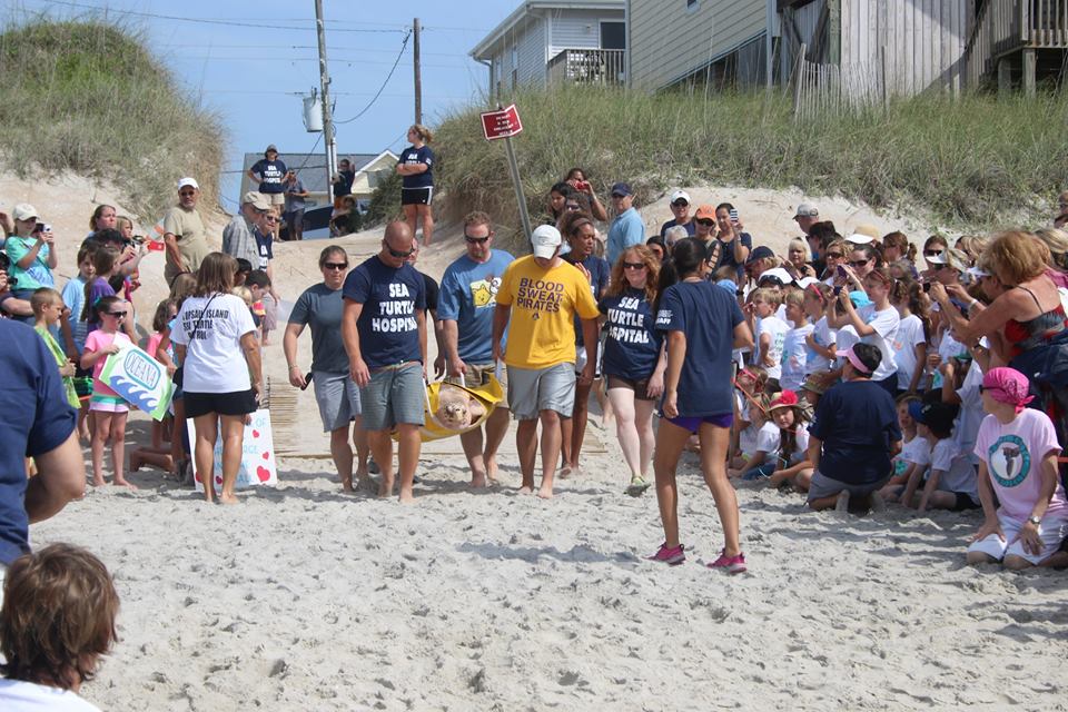 The team making their way to the water with Nichols