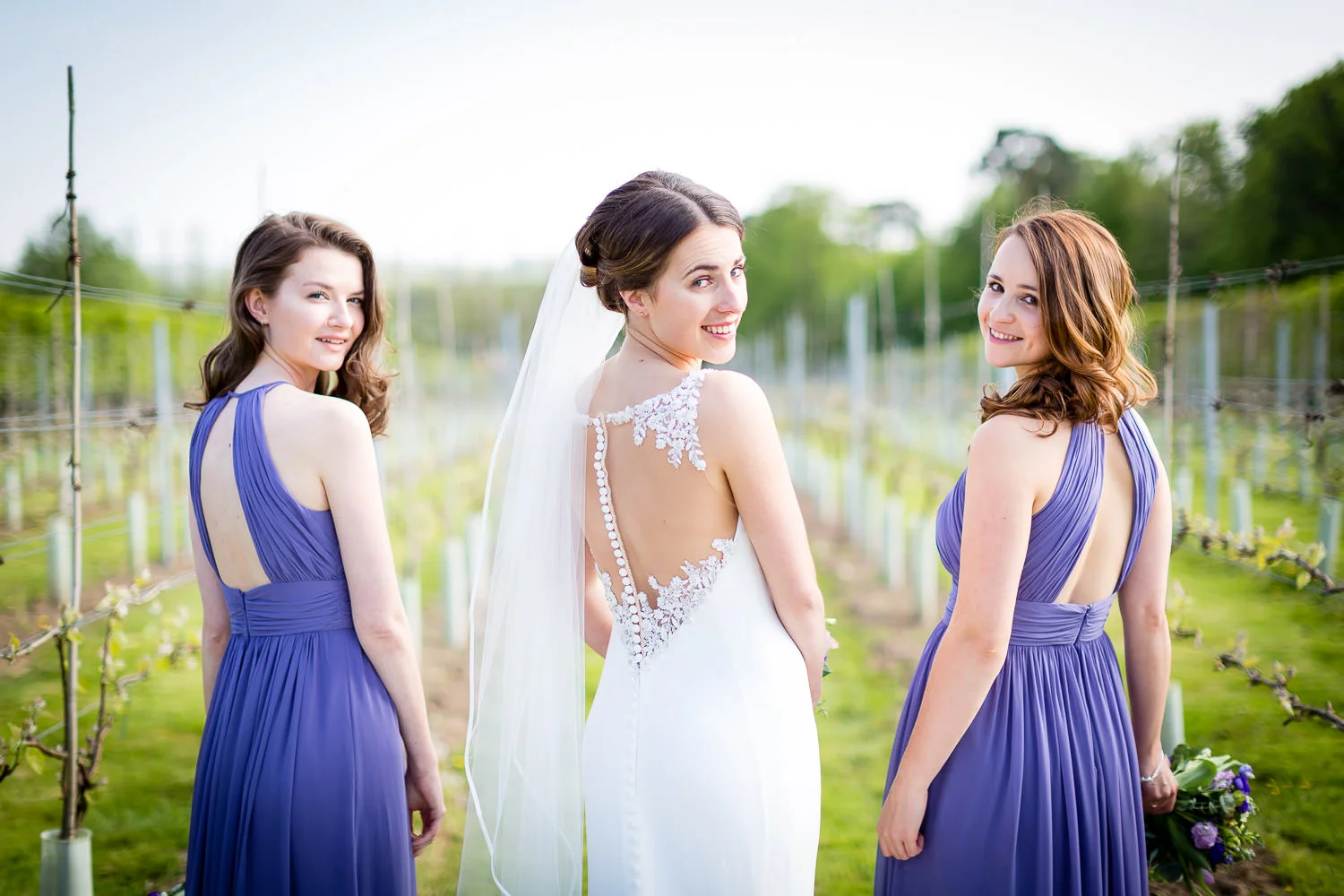in the vineyard