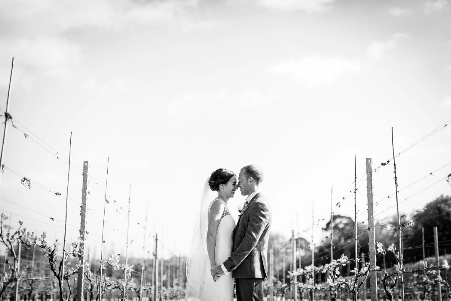 wedding-photos-in-vineyard.jpg