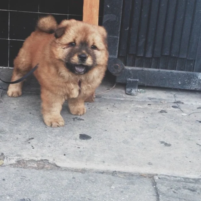 How could you hate anything about this face!? (and yet…but I know someone who does!)