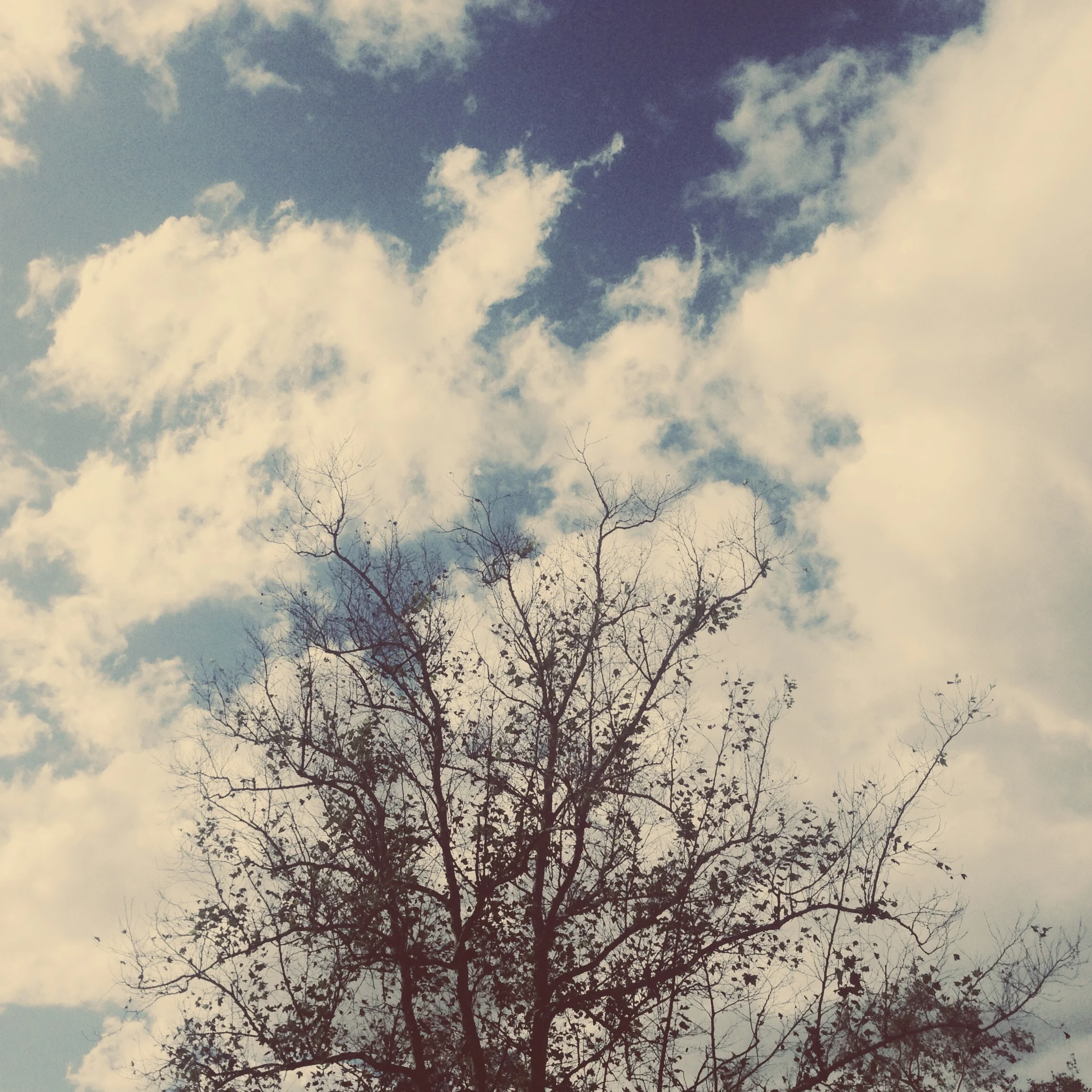 vscocam_1382996538.346516.45.jpg