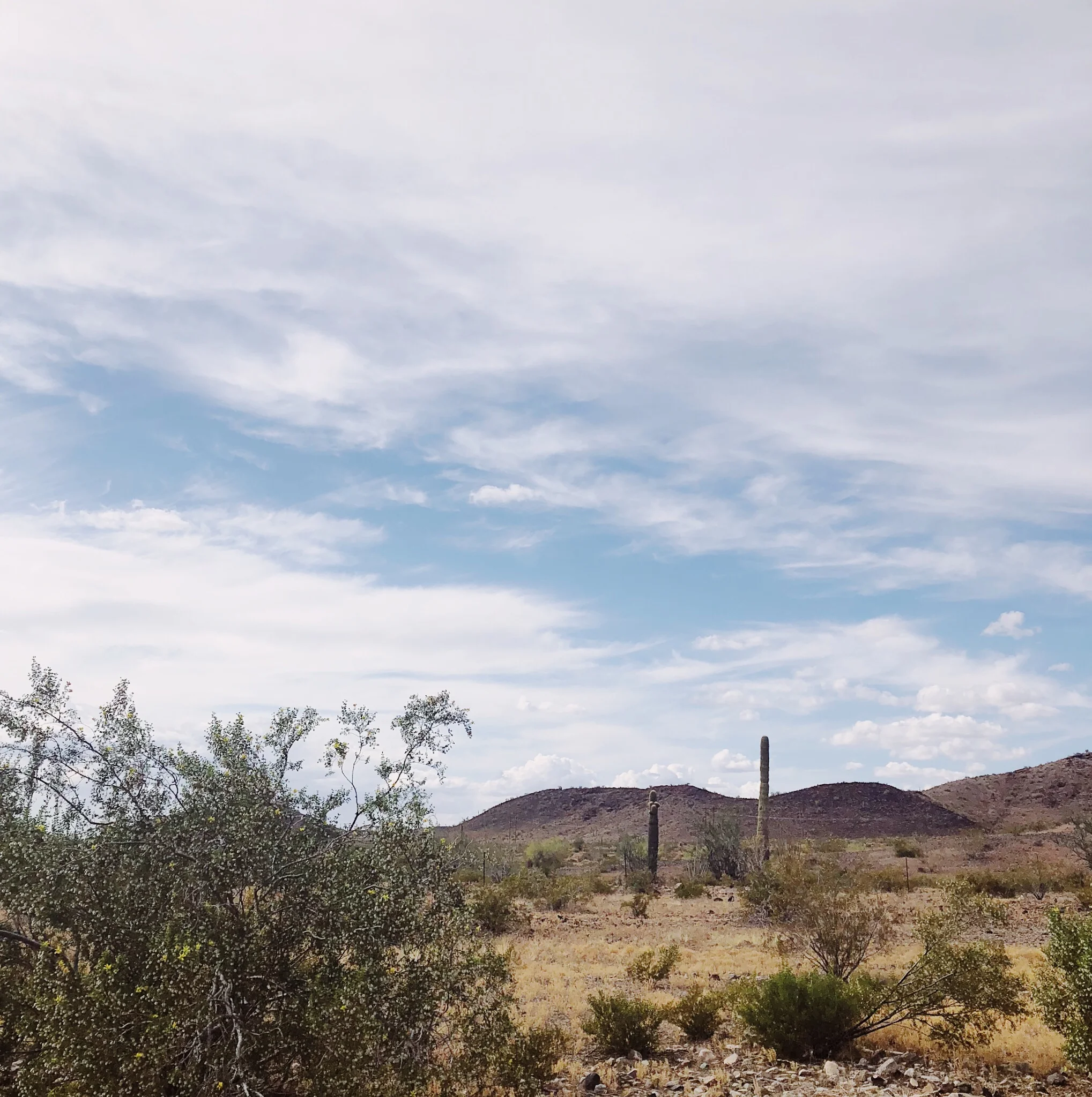 I 1000% forgot I drove from Phoenix AZ to LA in May… it was wild.