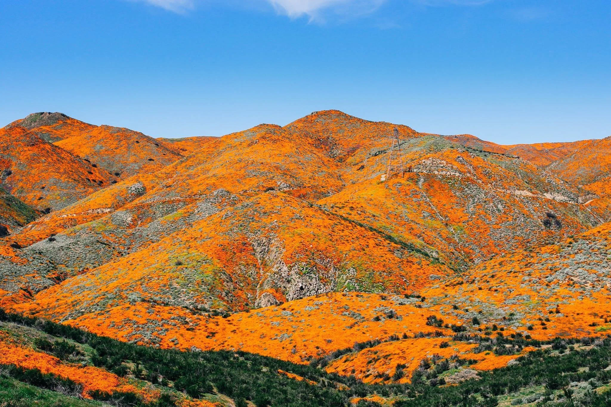 Lake Elsinore during the 2019 Super Bloom