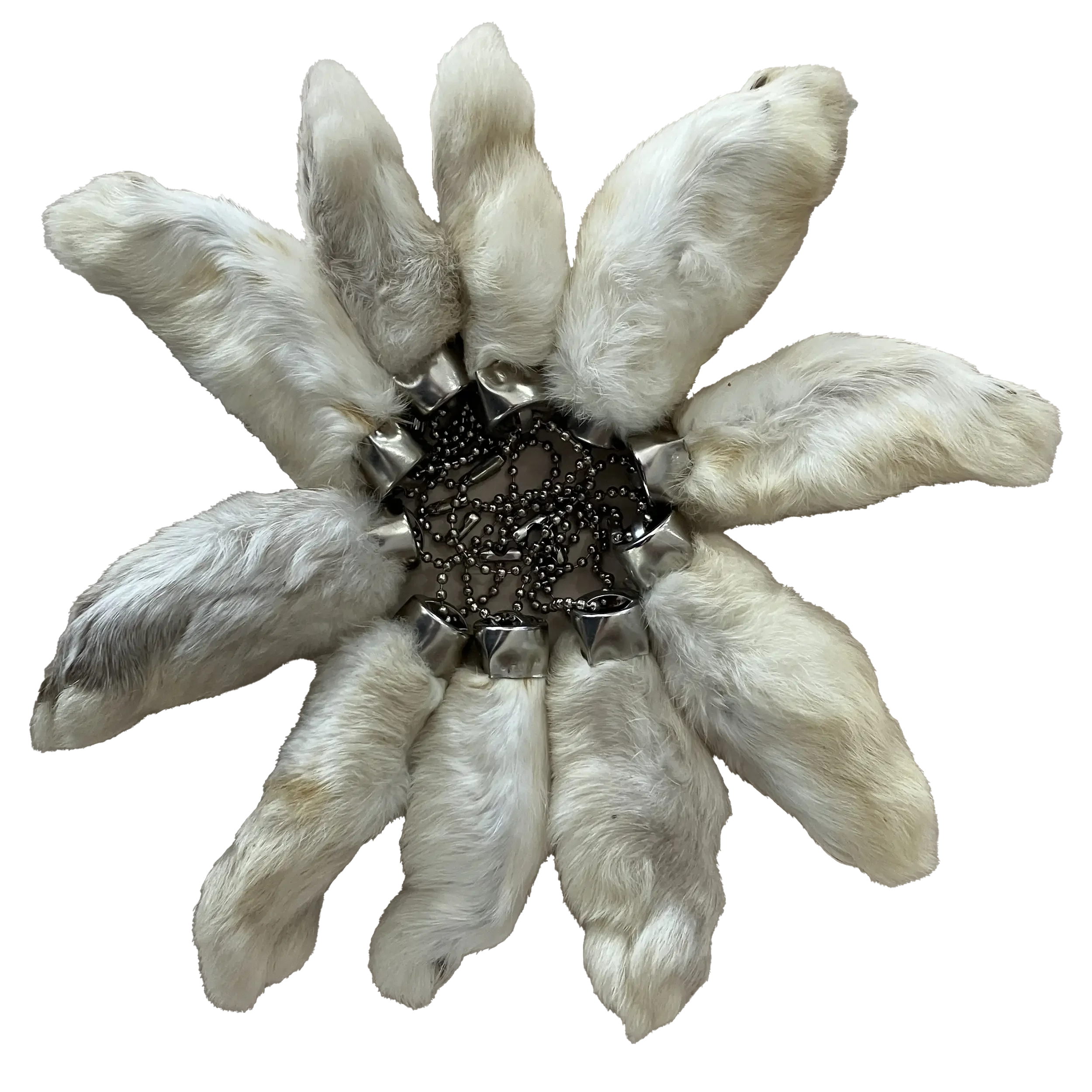 rabbit feet.webp