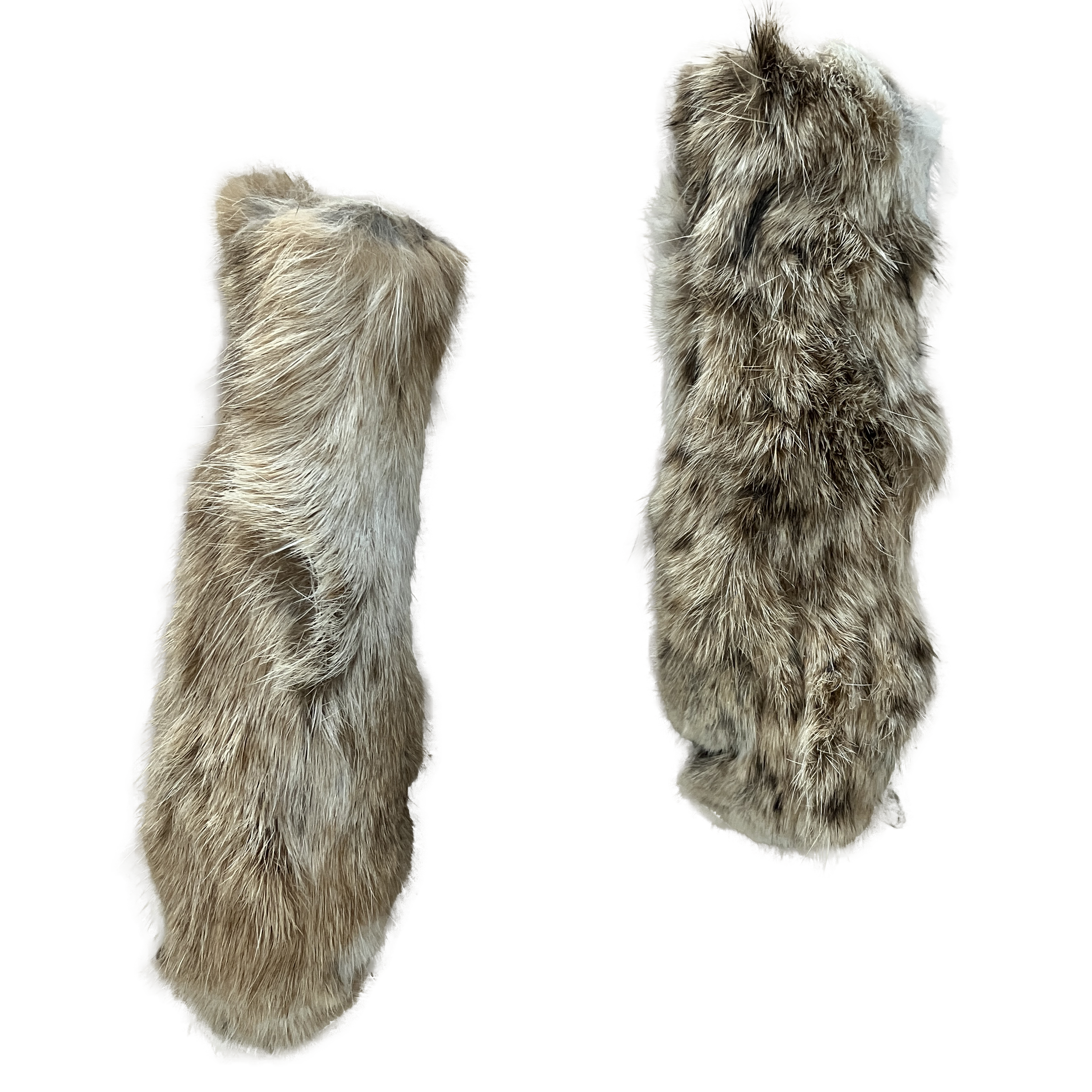bobcat feet.png