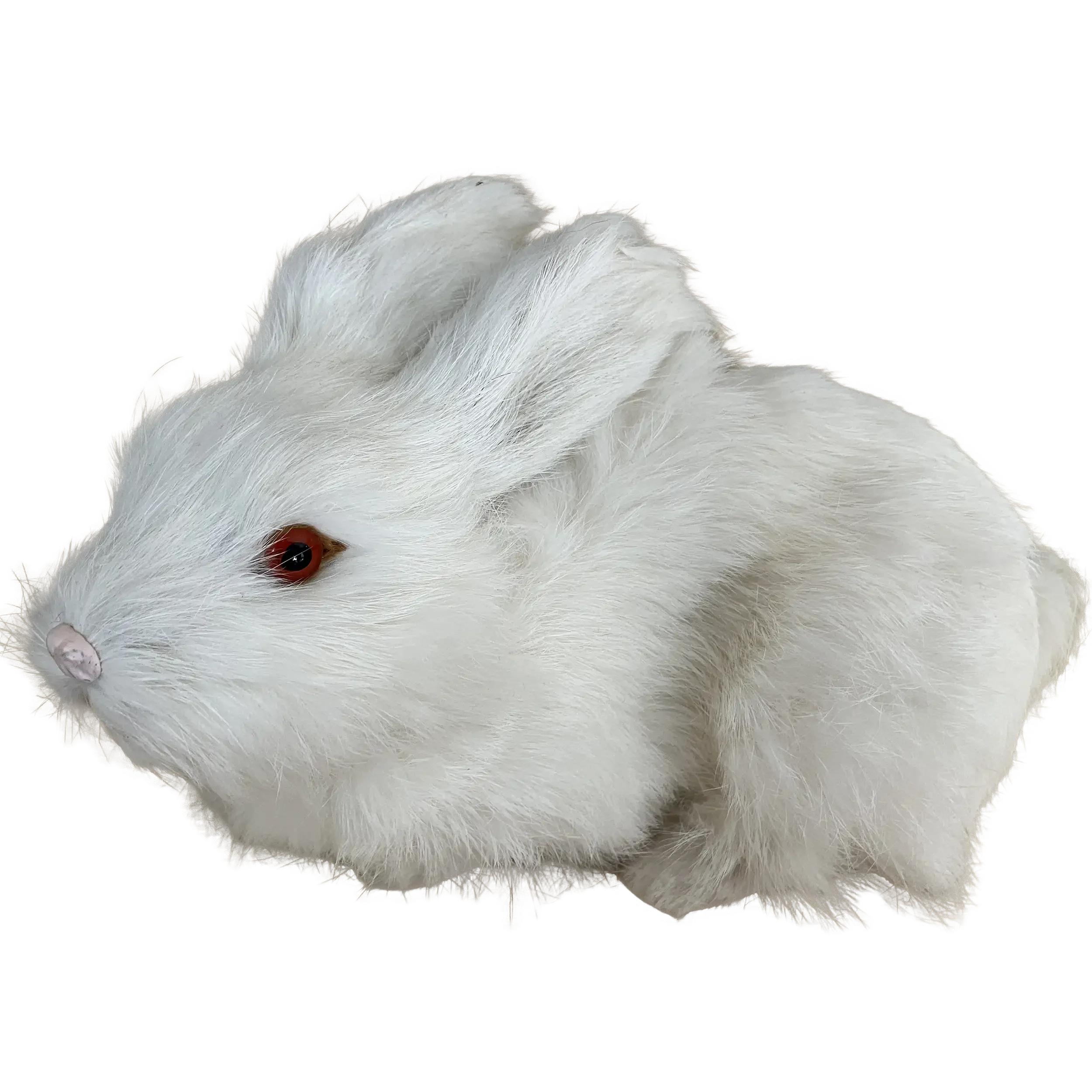taxidermy bunny.webp