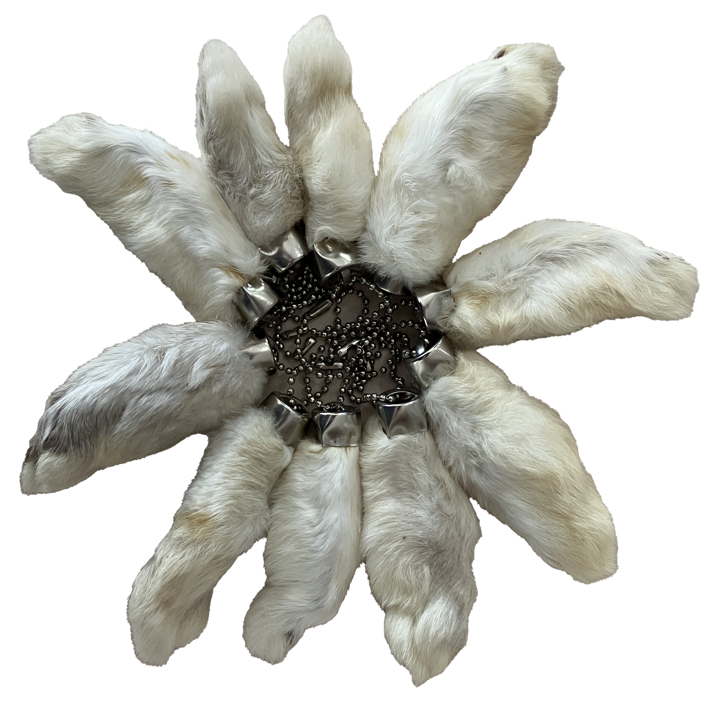 rabbit feet.png