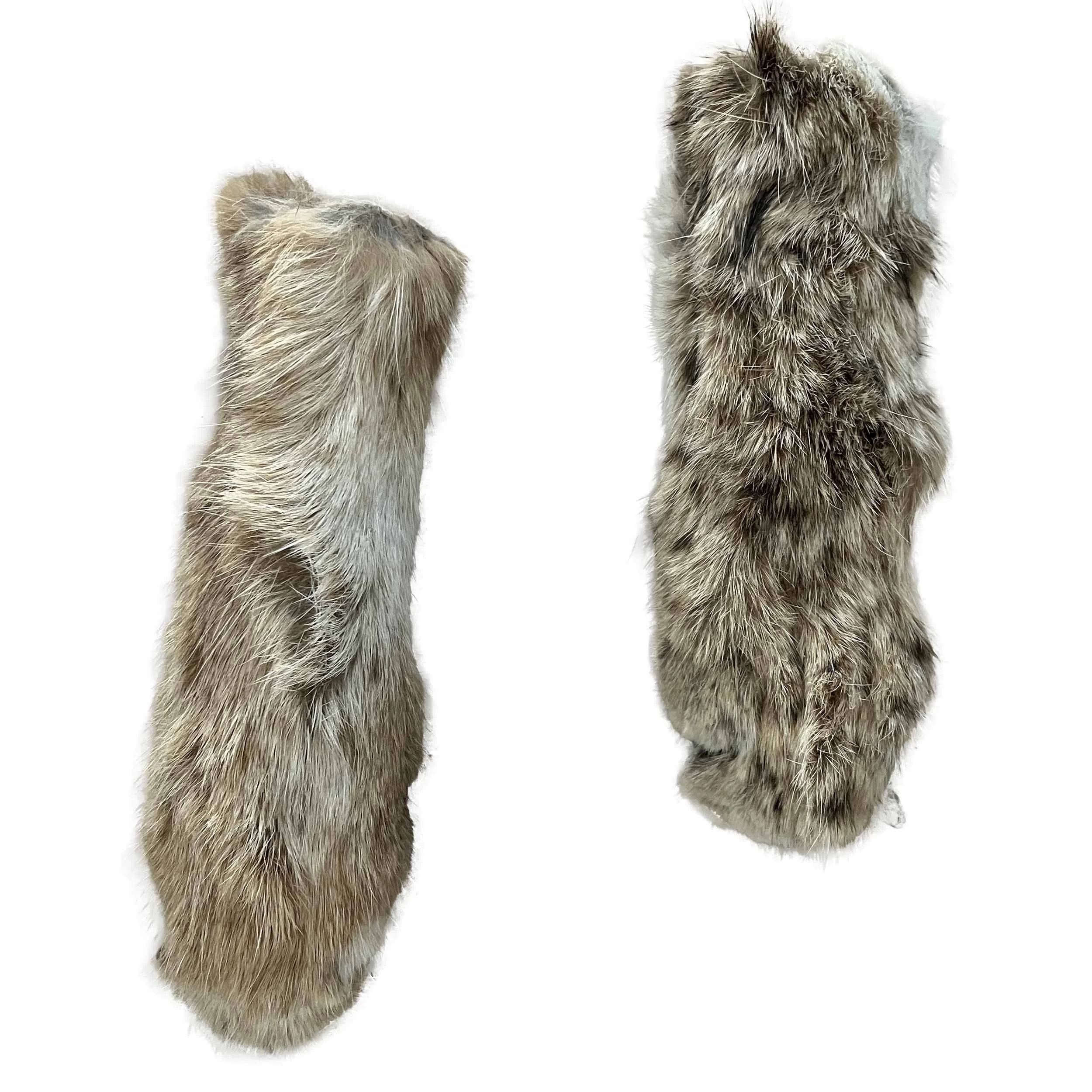 bobcat feet.jpg