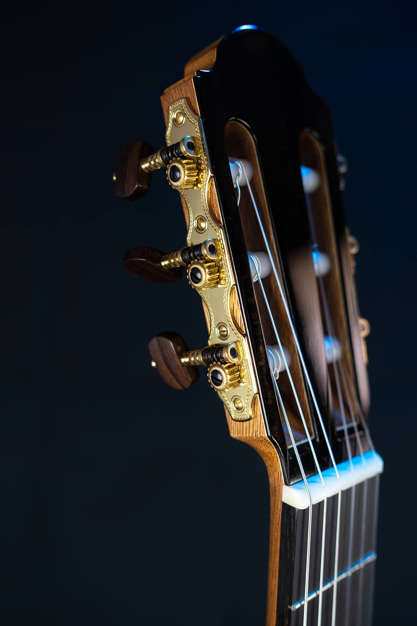 Classical Concert Guitar Liuteria Marcellan Padua Italy