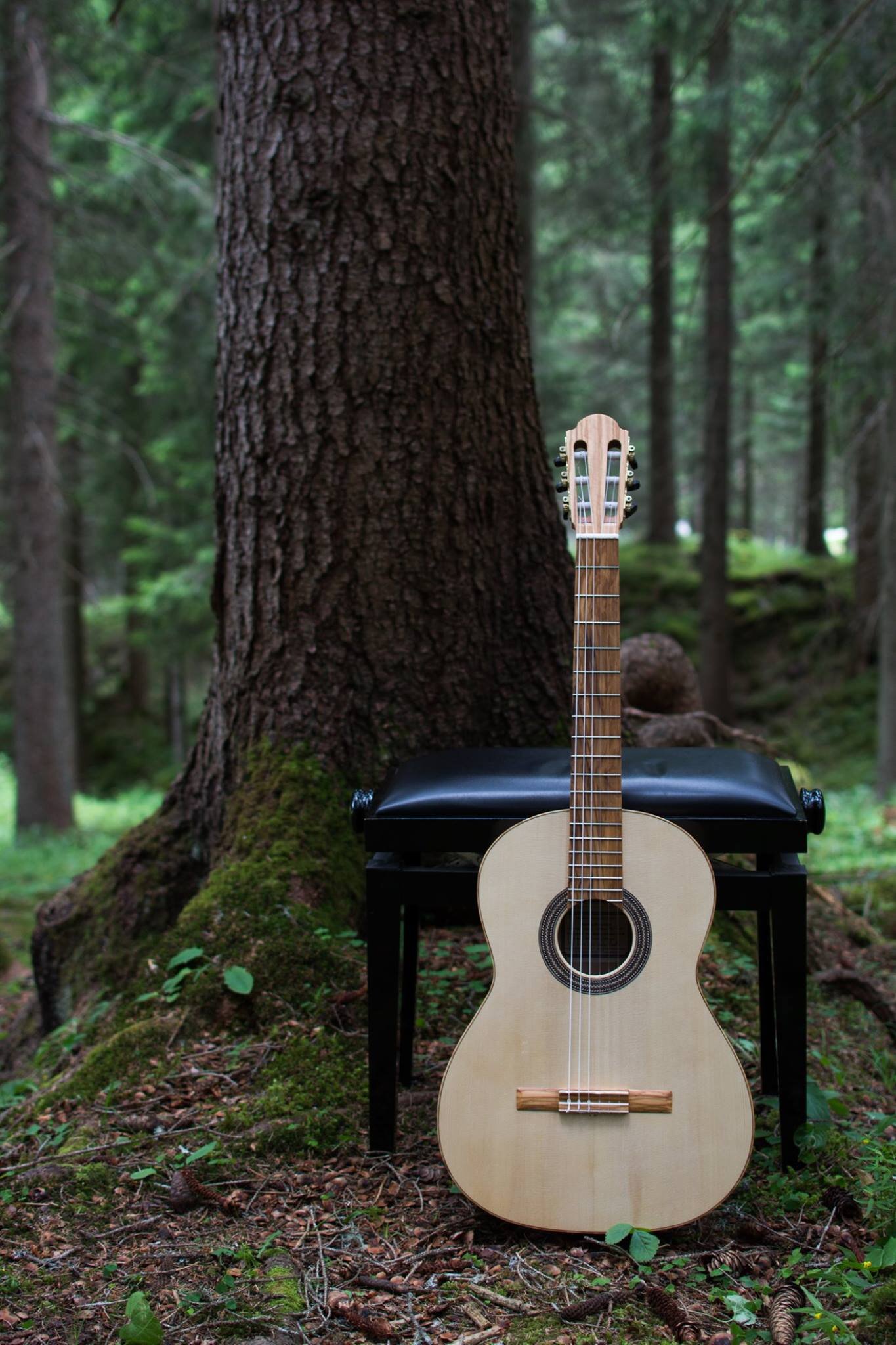 Classical Studio Guitar Liuteria Marcellan Padua Italy