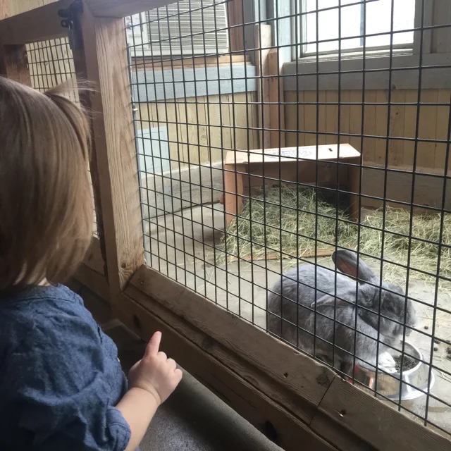 Look at that bunny