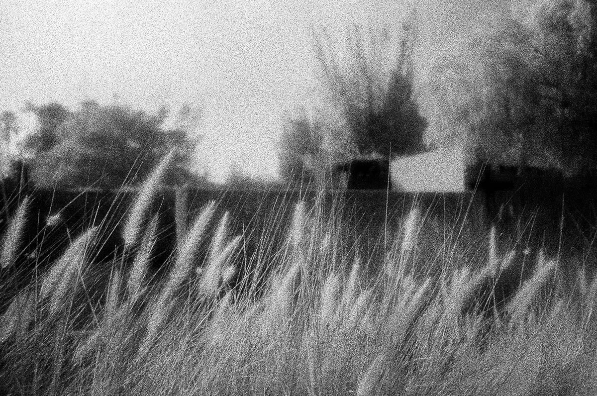 20130205_Schindler'sHouse_Infrared_004.jpg